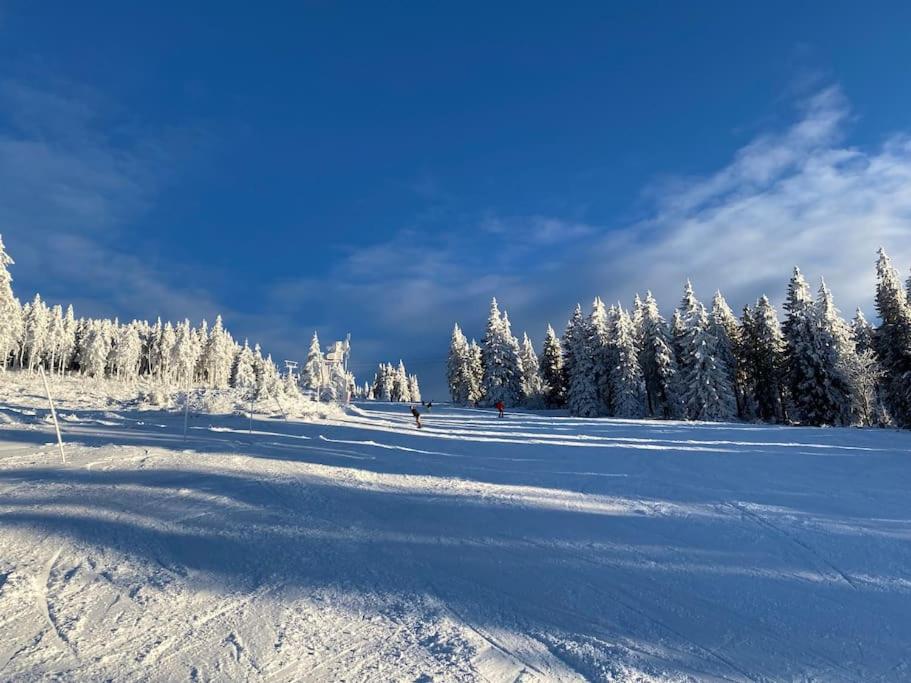 WaldNur