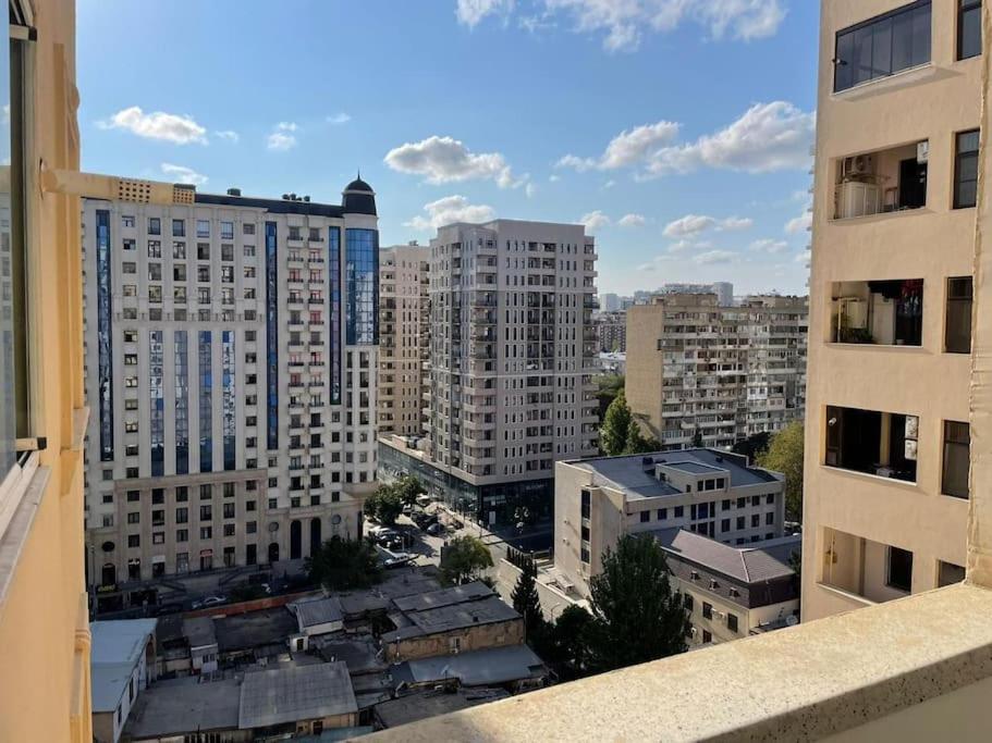 Luxury apartment in center near Nizami Street