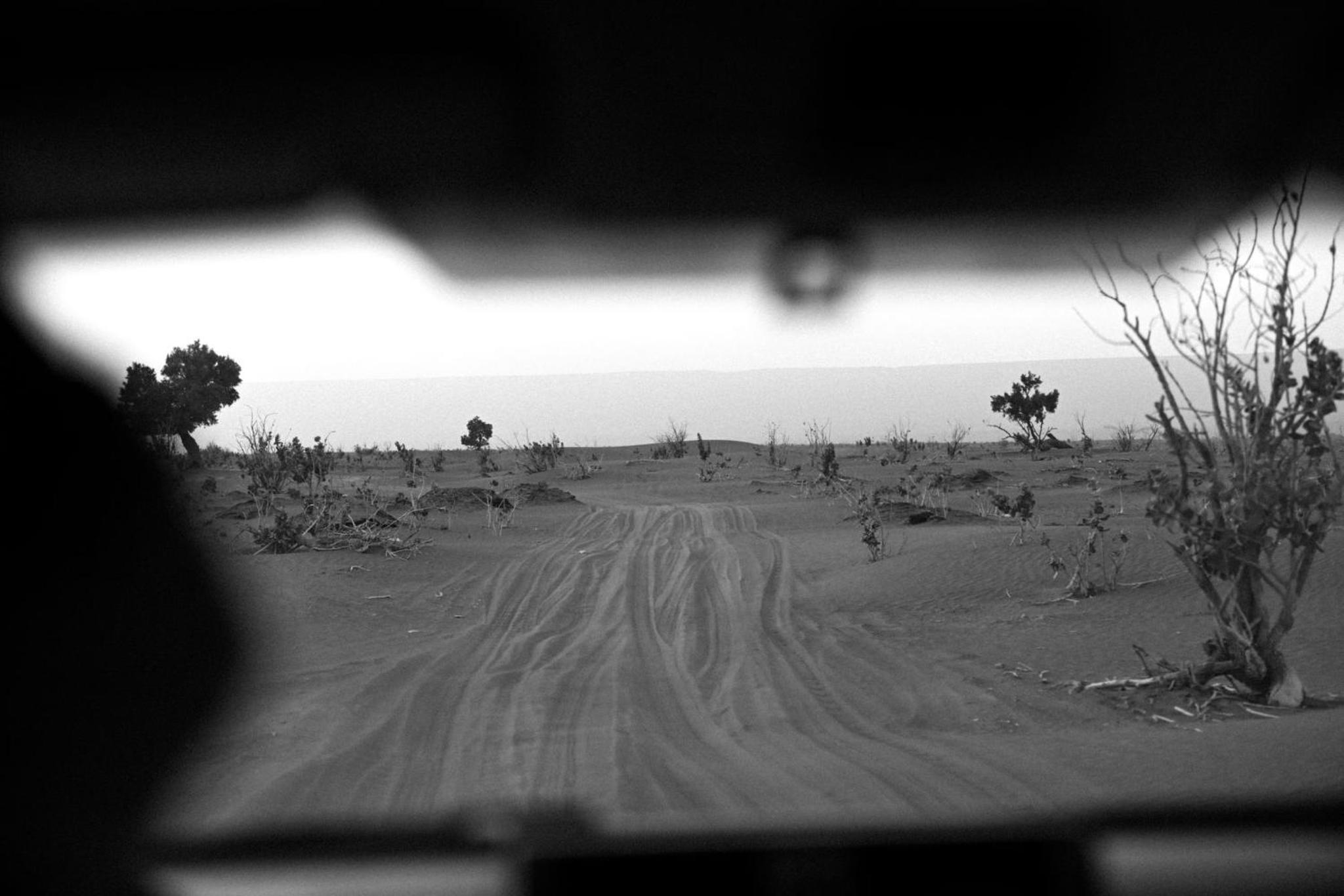 The dune camp