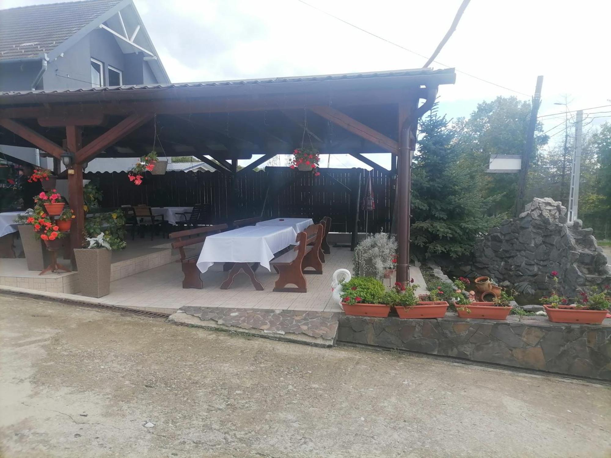 Pensiunea Cetatea