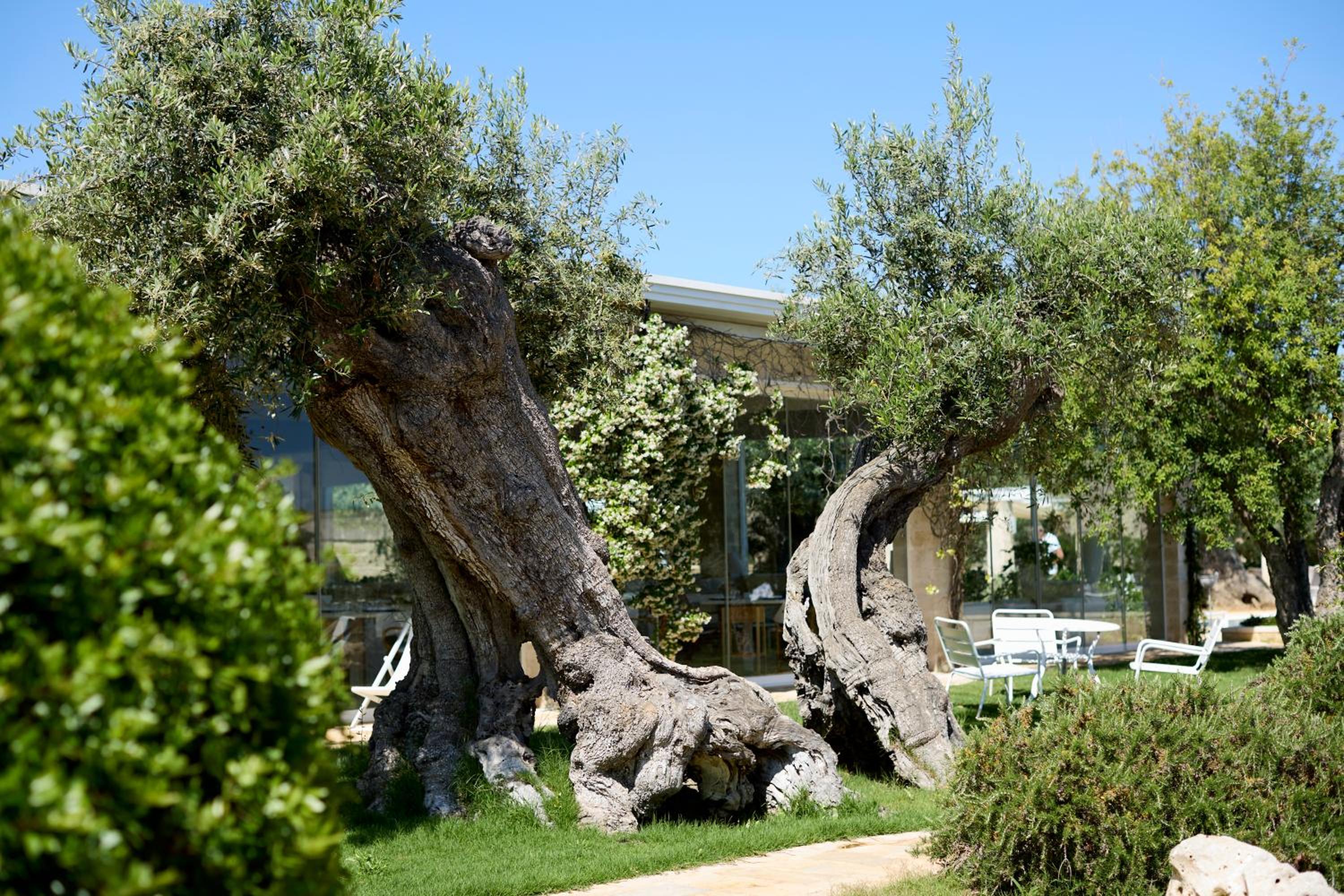 Masseria Torre Del Diamante