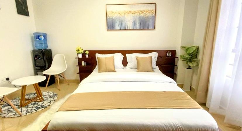 Cozy Studio Apartment in Nairobi West view 2