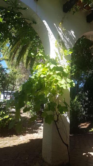 Photo 28