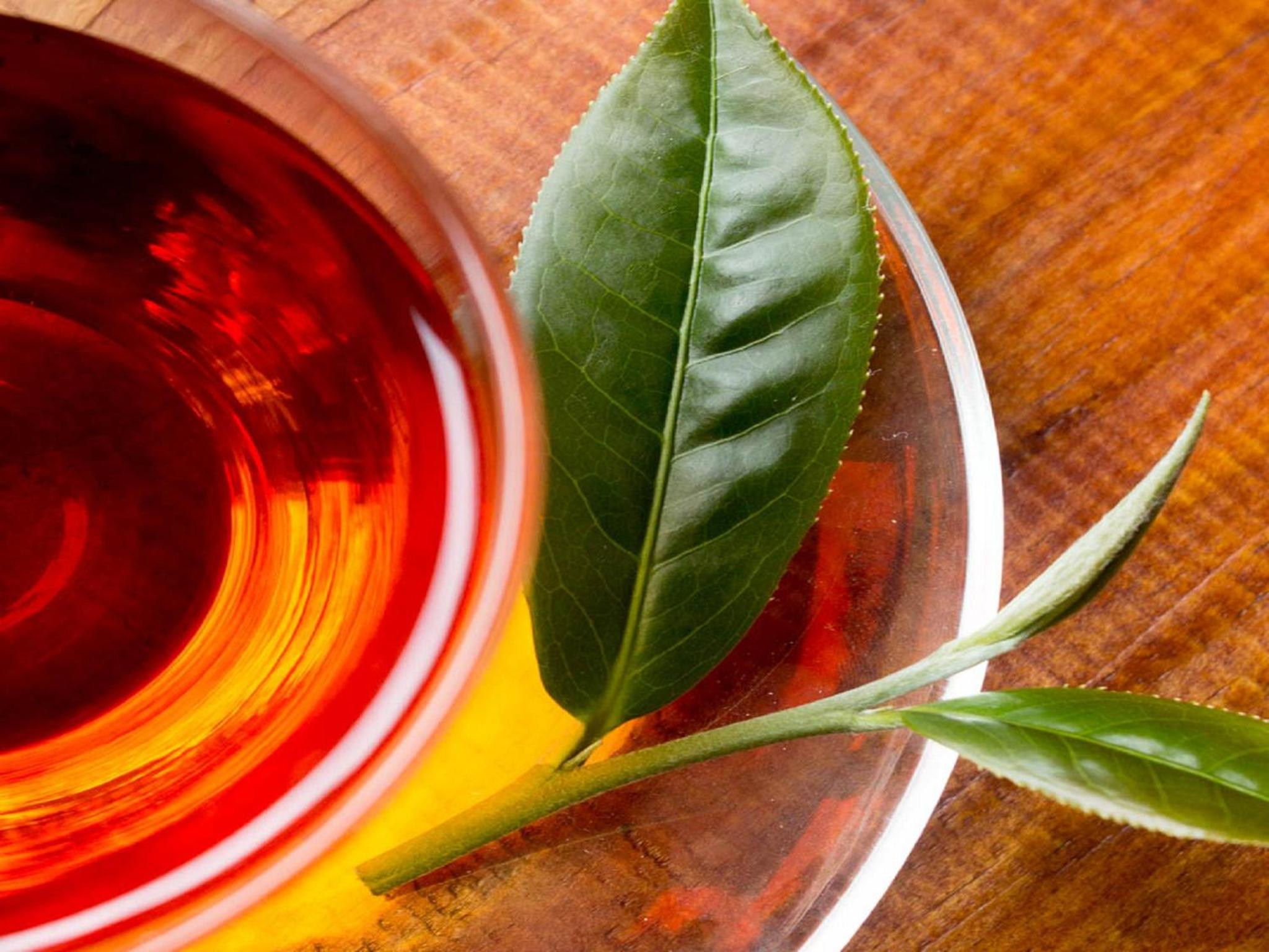 Lin Tea B&B
