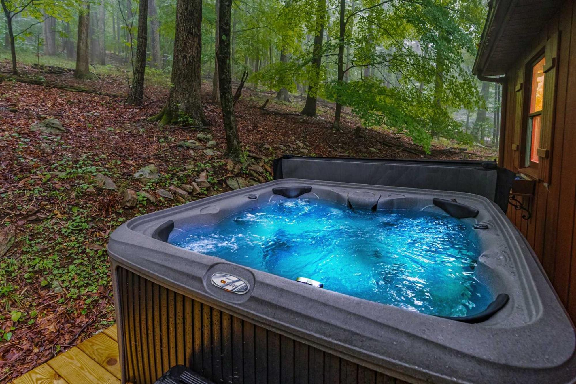 River Cabin w Hot Tub, Screened Porch & Fire Pit view 3