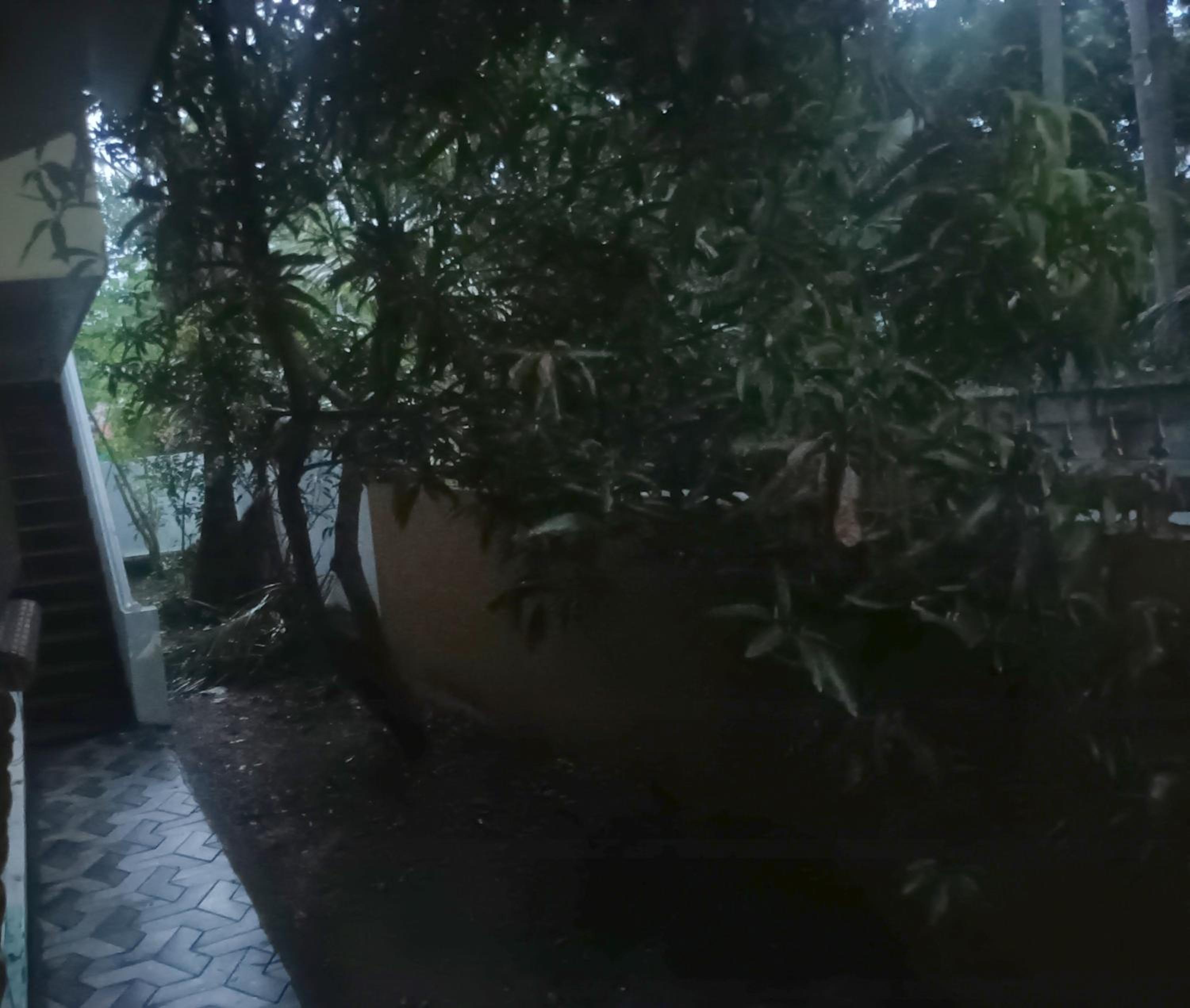 Eco hostel