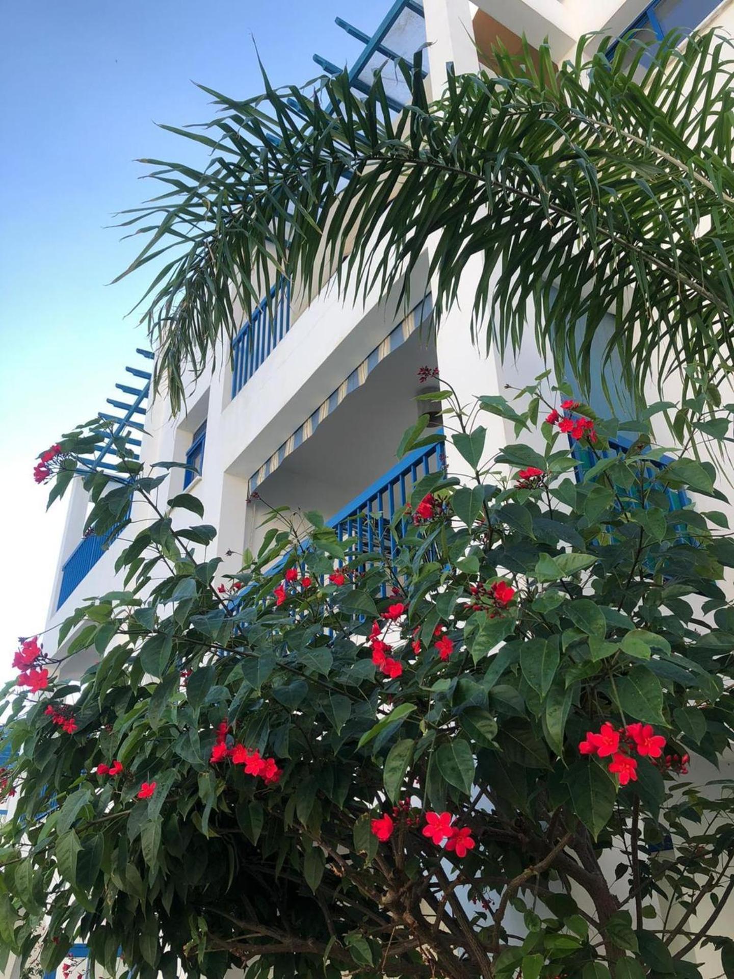 Paphos Vacations - Paphos Holiday Apartments Pool view Apartment - Property Image 18