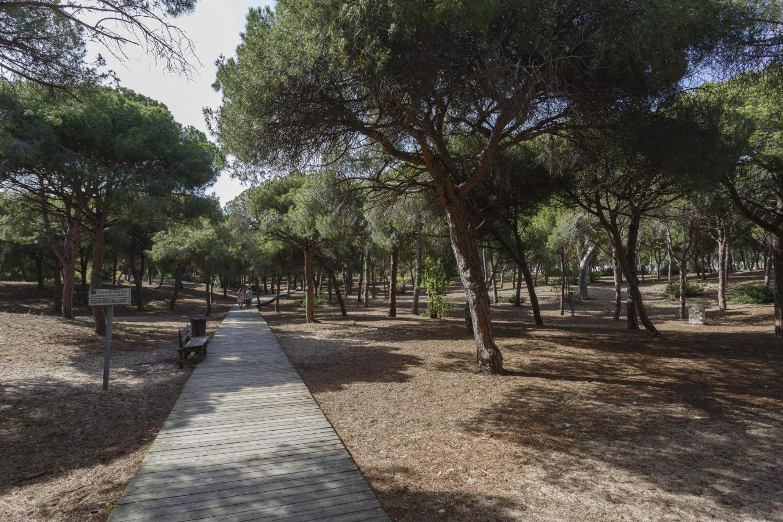 Pinos-los Corrales by Staycare