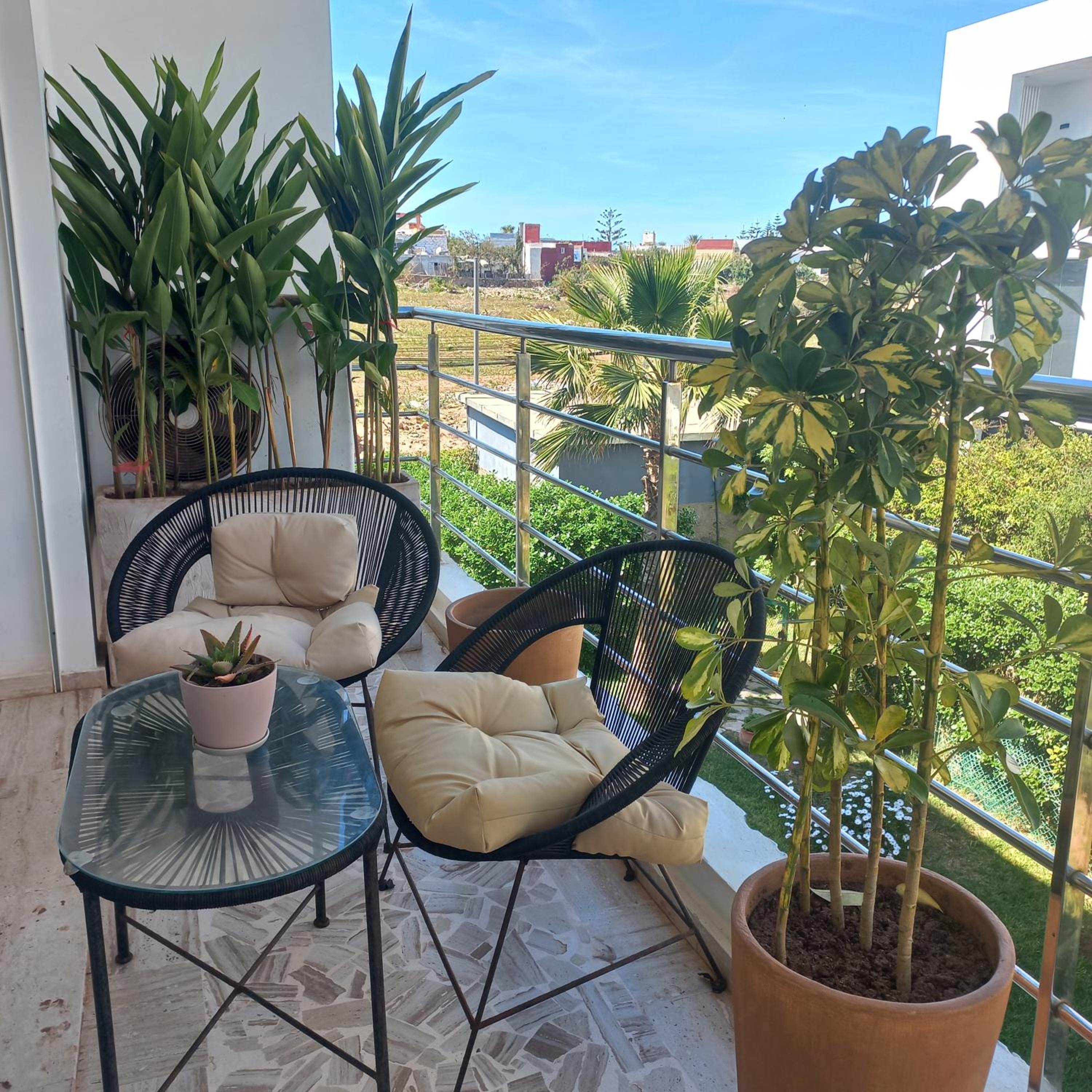 balance & terrace