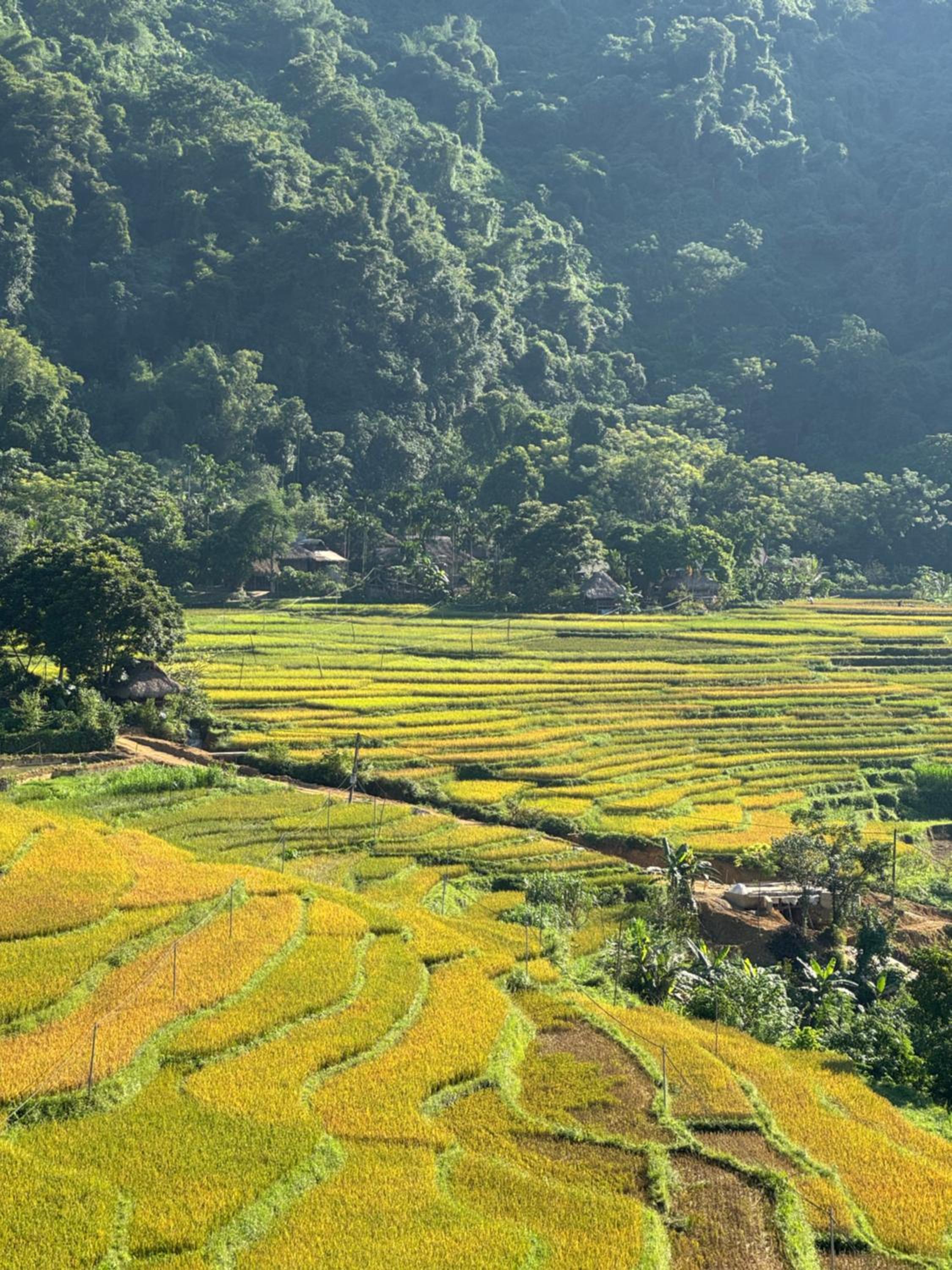 Pu Luong - Duy Phuong Homestay