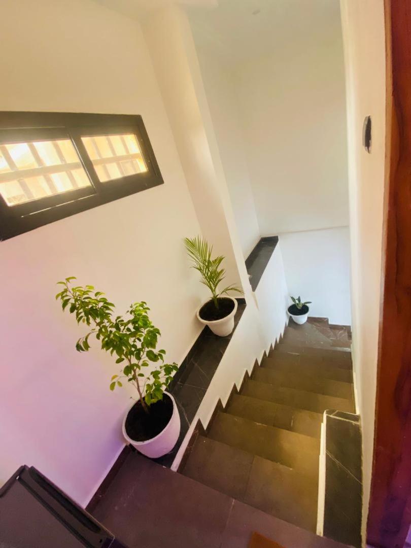Studio Casablanca