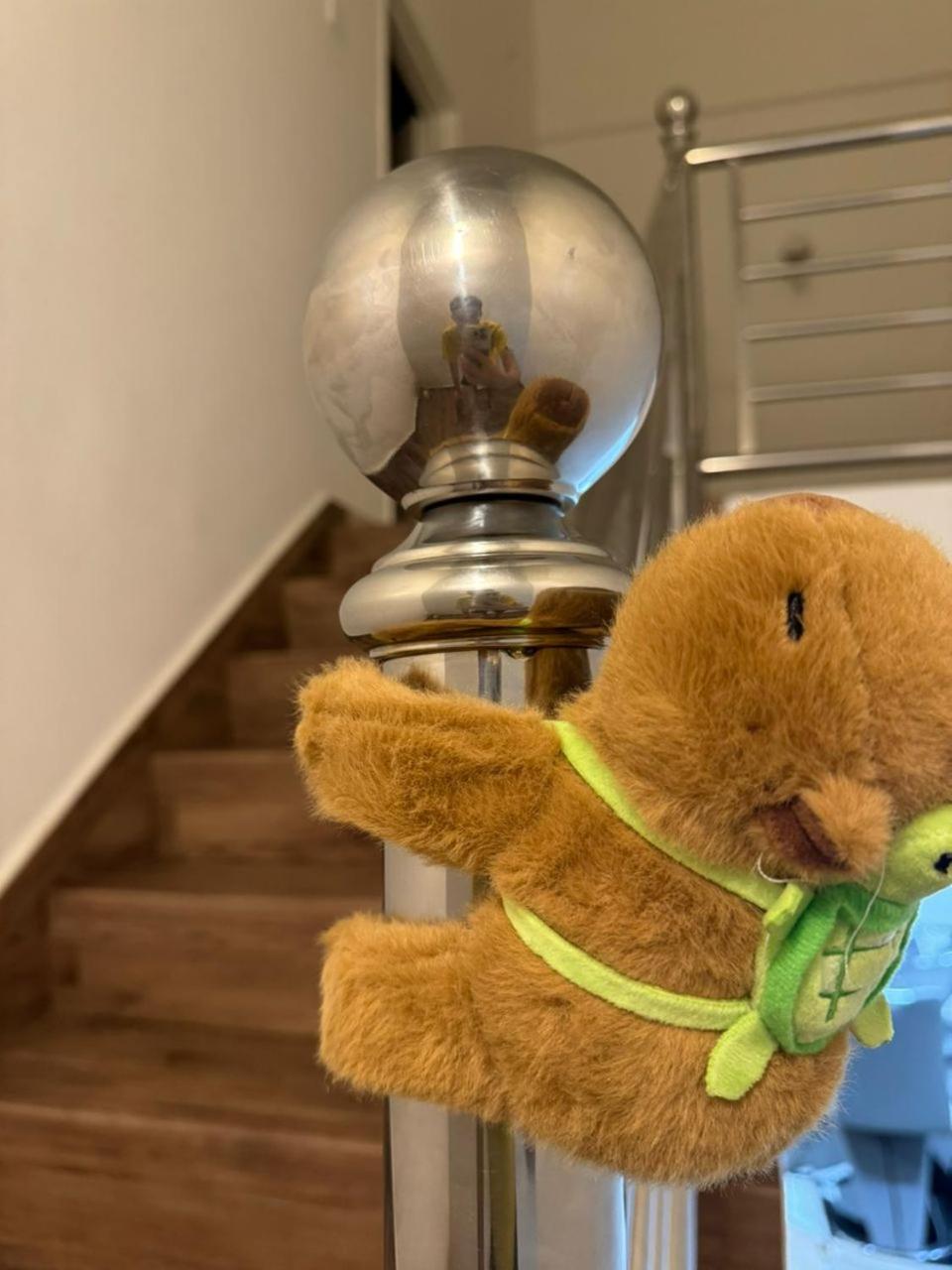 Capybara House
