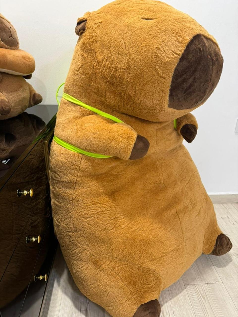 Capybara House