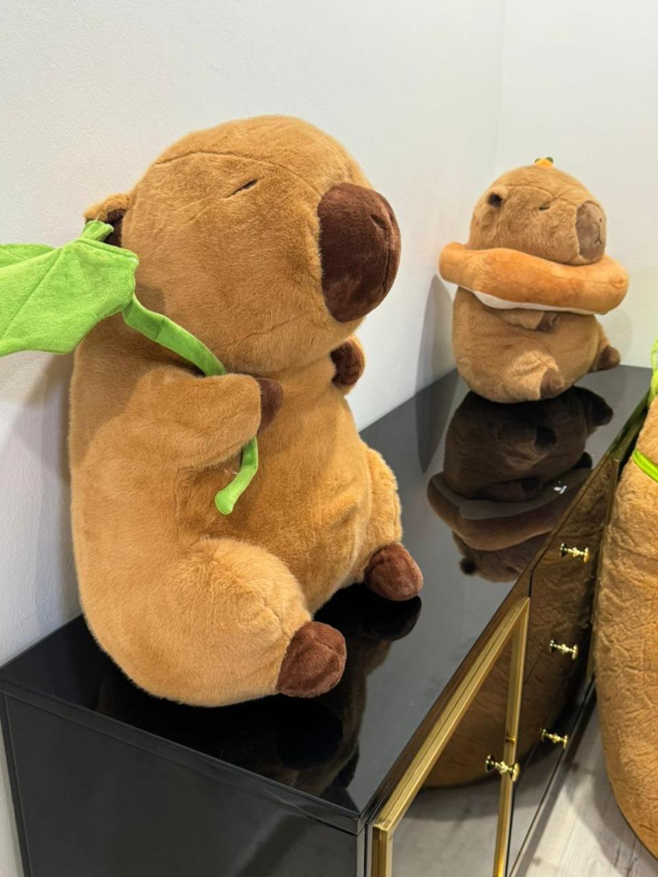 Capybara House