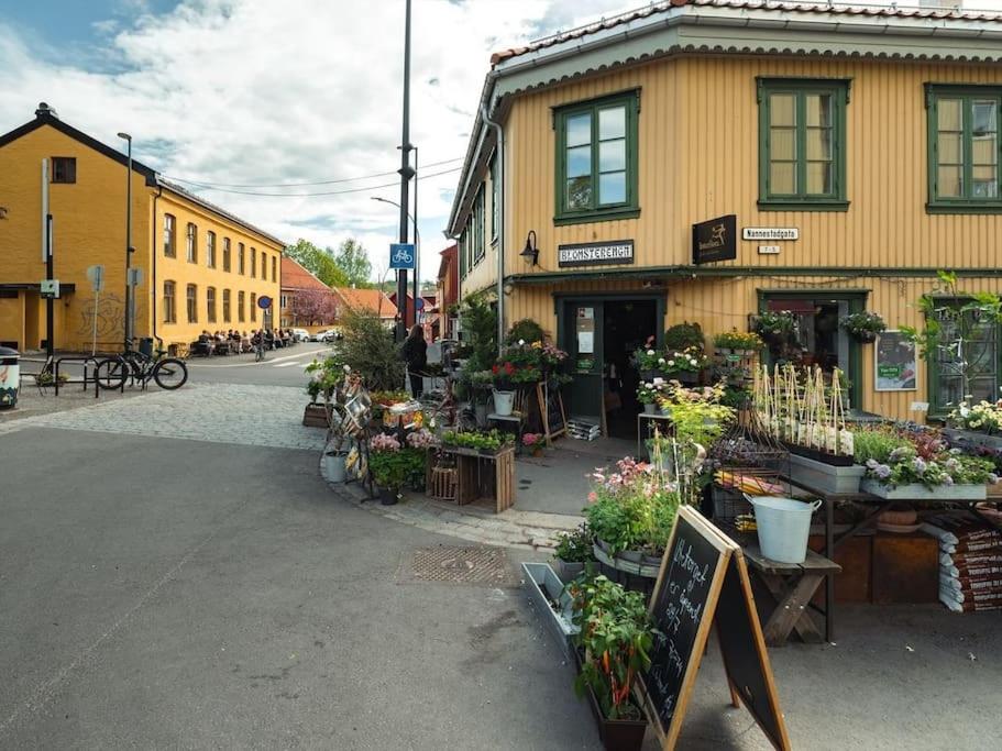 Nyoppusset leilighet gamle Oslo