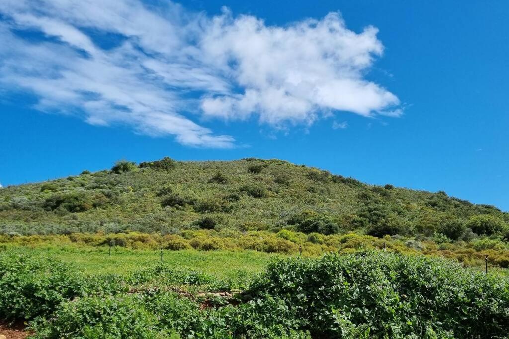 Ammara Farmstay