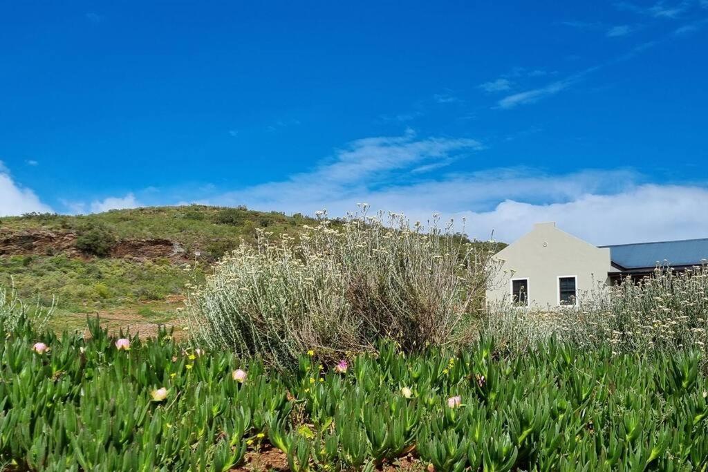 Ammara Farmstay