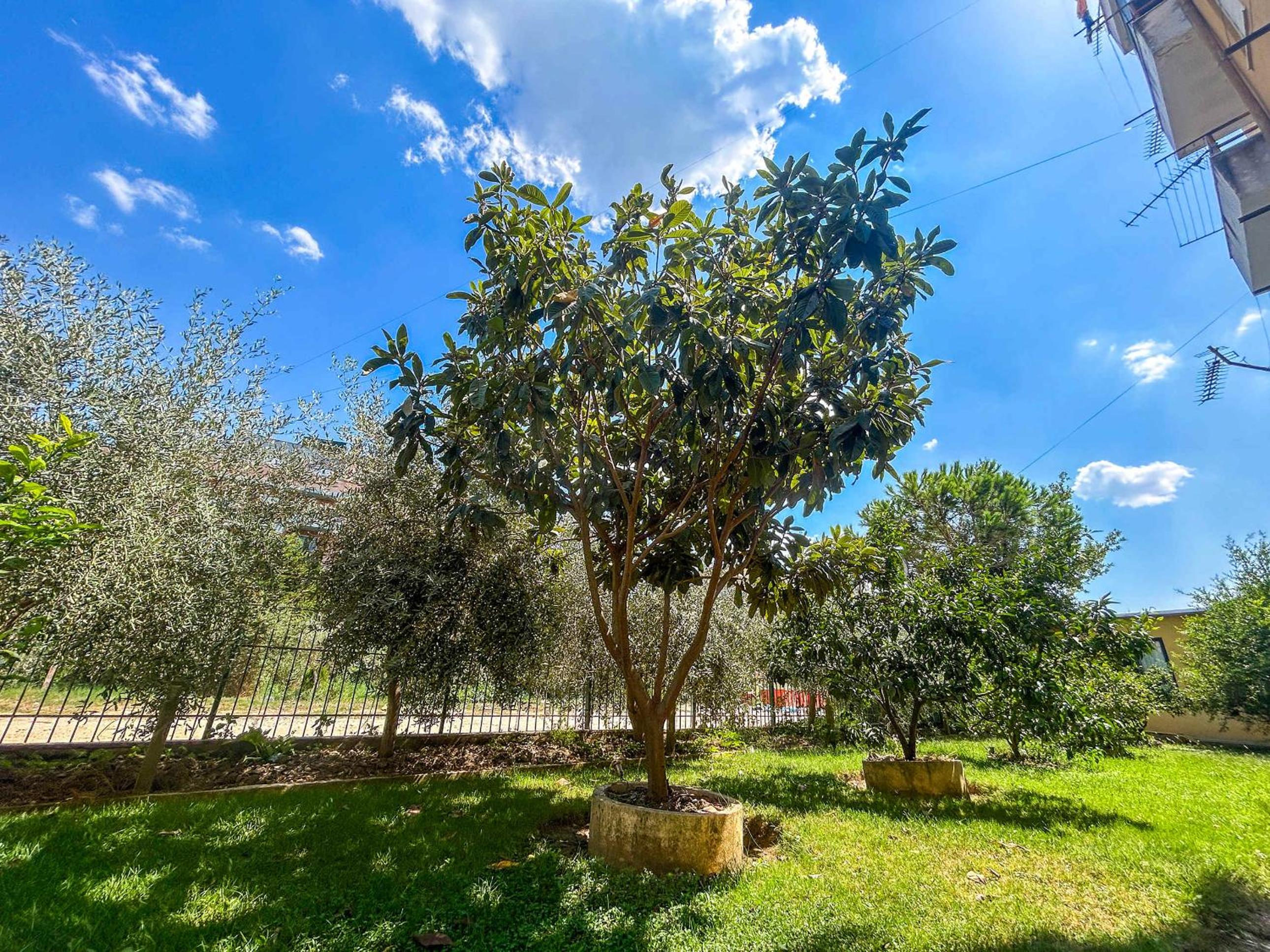 Garden apartment 1177