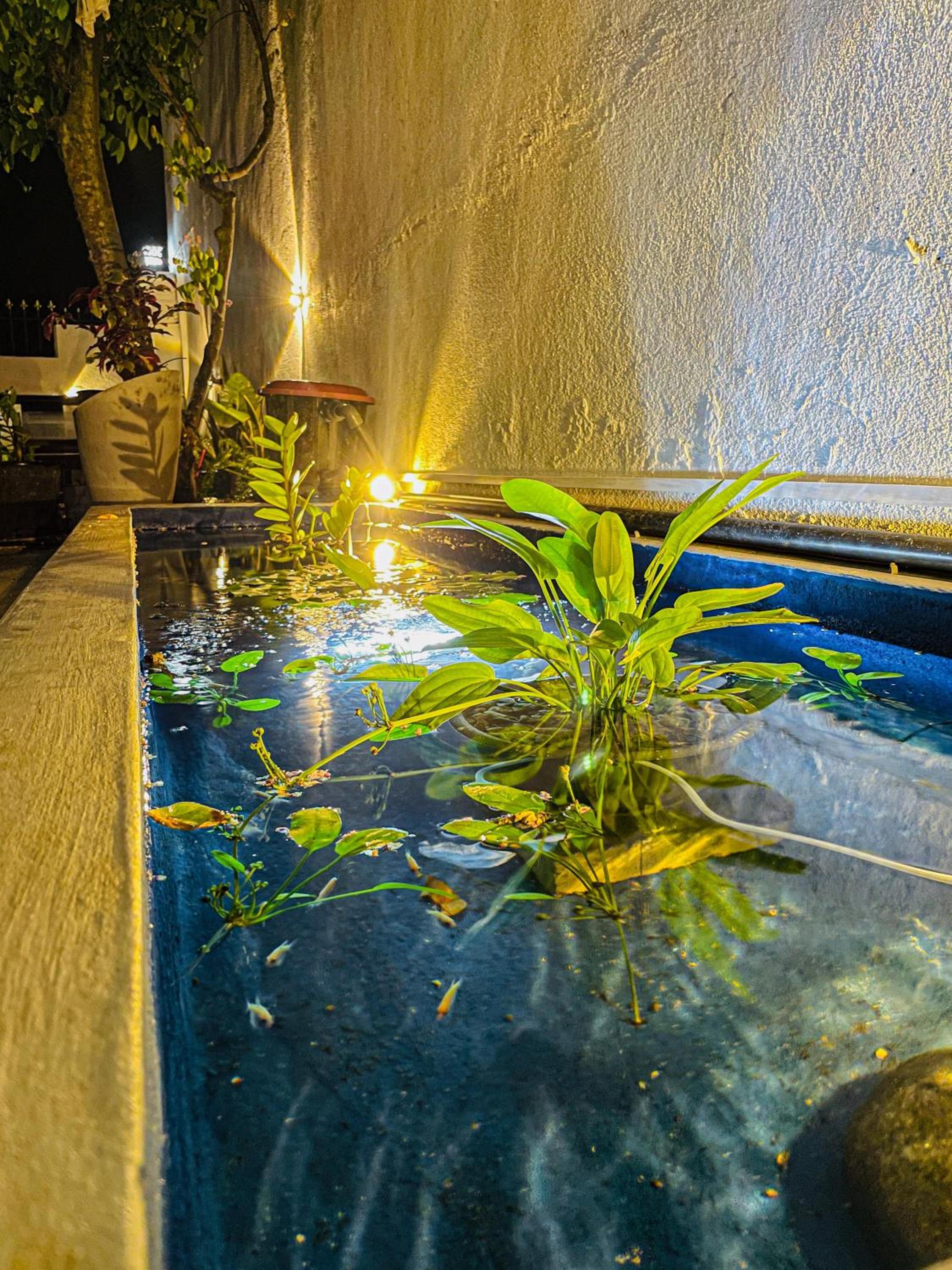 Zinera Homestay Ahangama