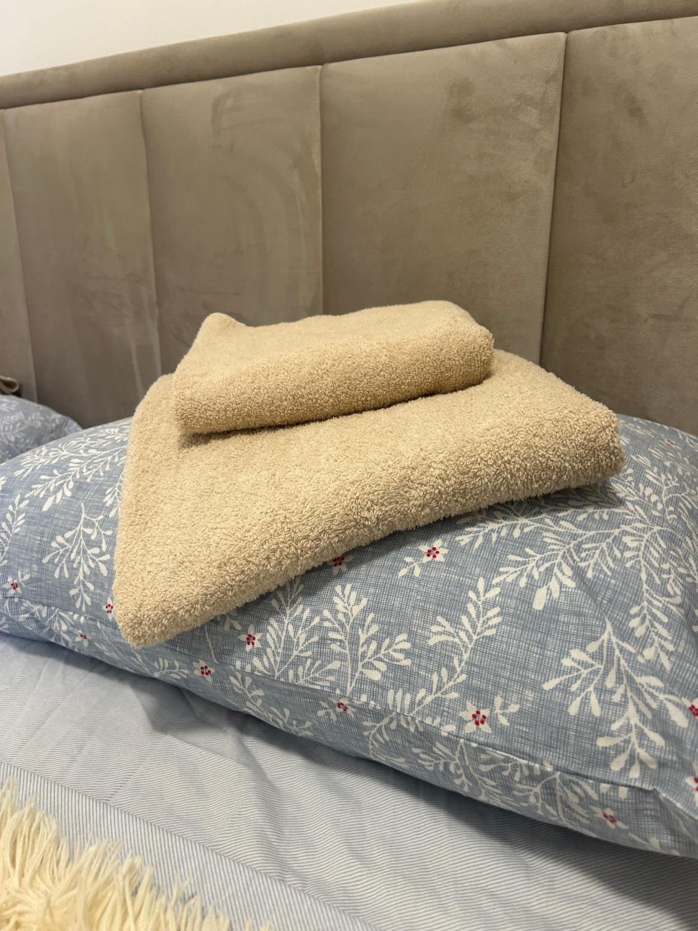Dream apartmen