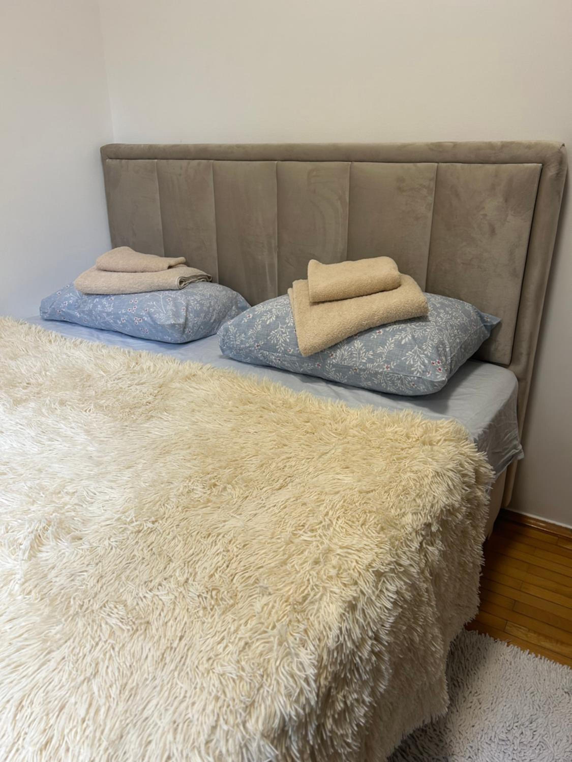 Dream apartmen