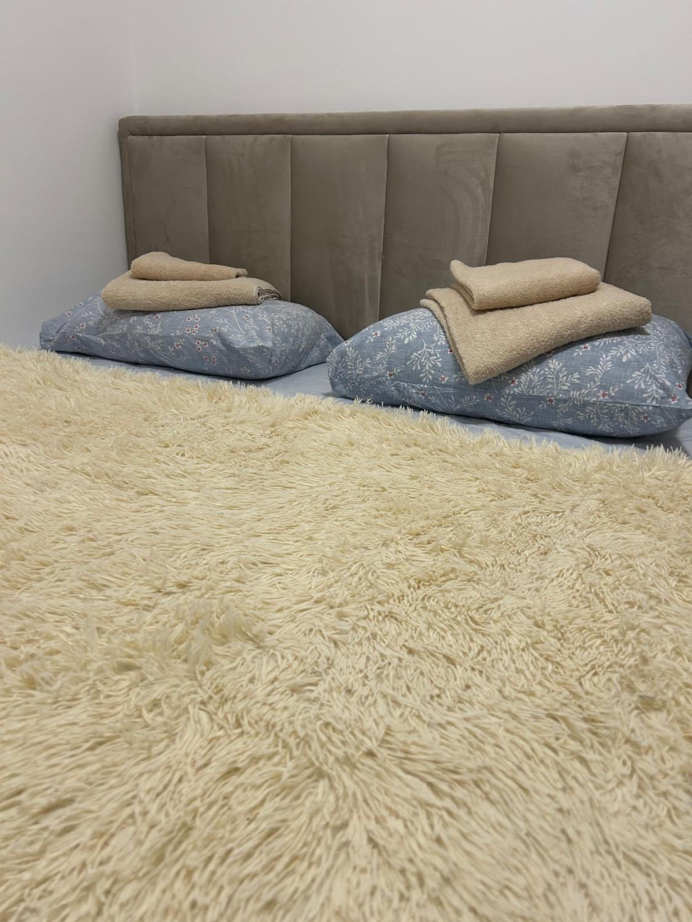 Dream apartmen