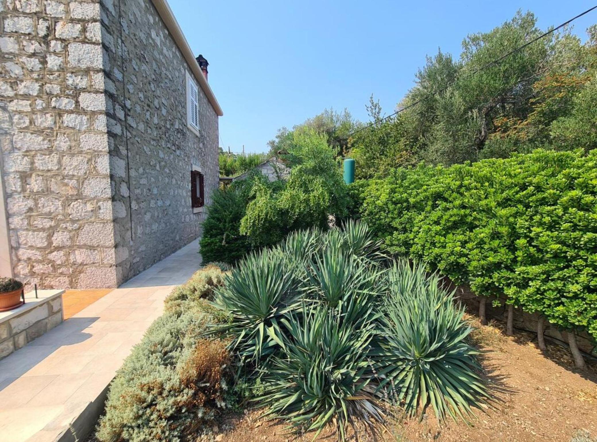 Apartment Ana Broce view 4