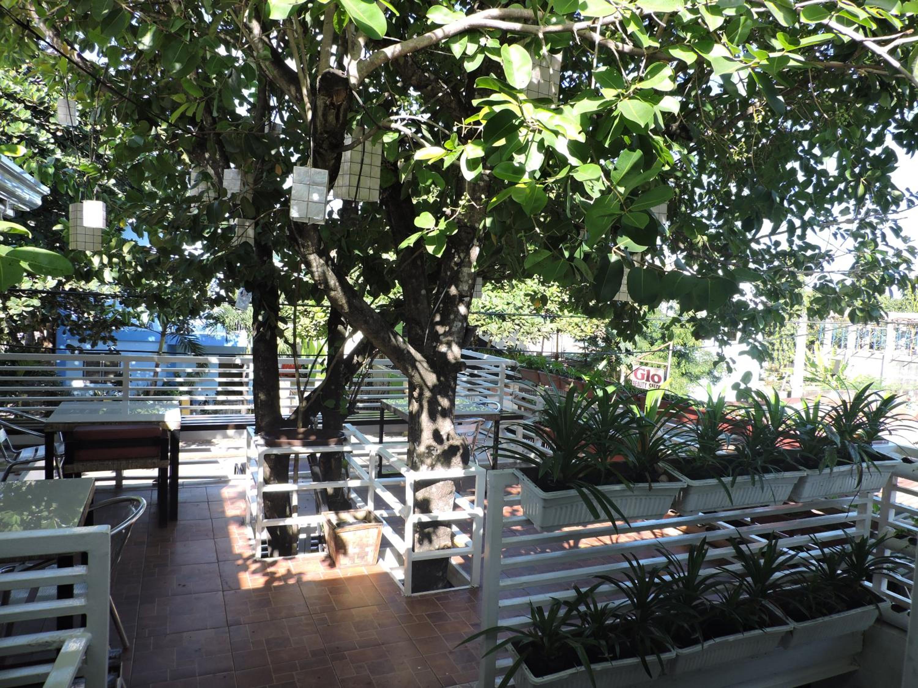 Orange Mangrove Pension House by SMS Hospitality