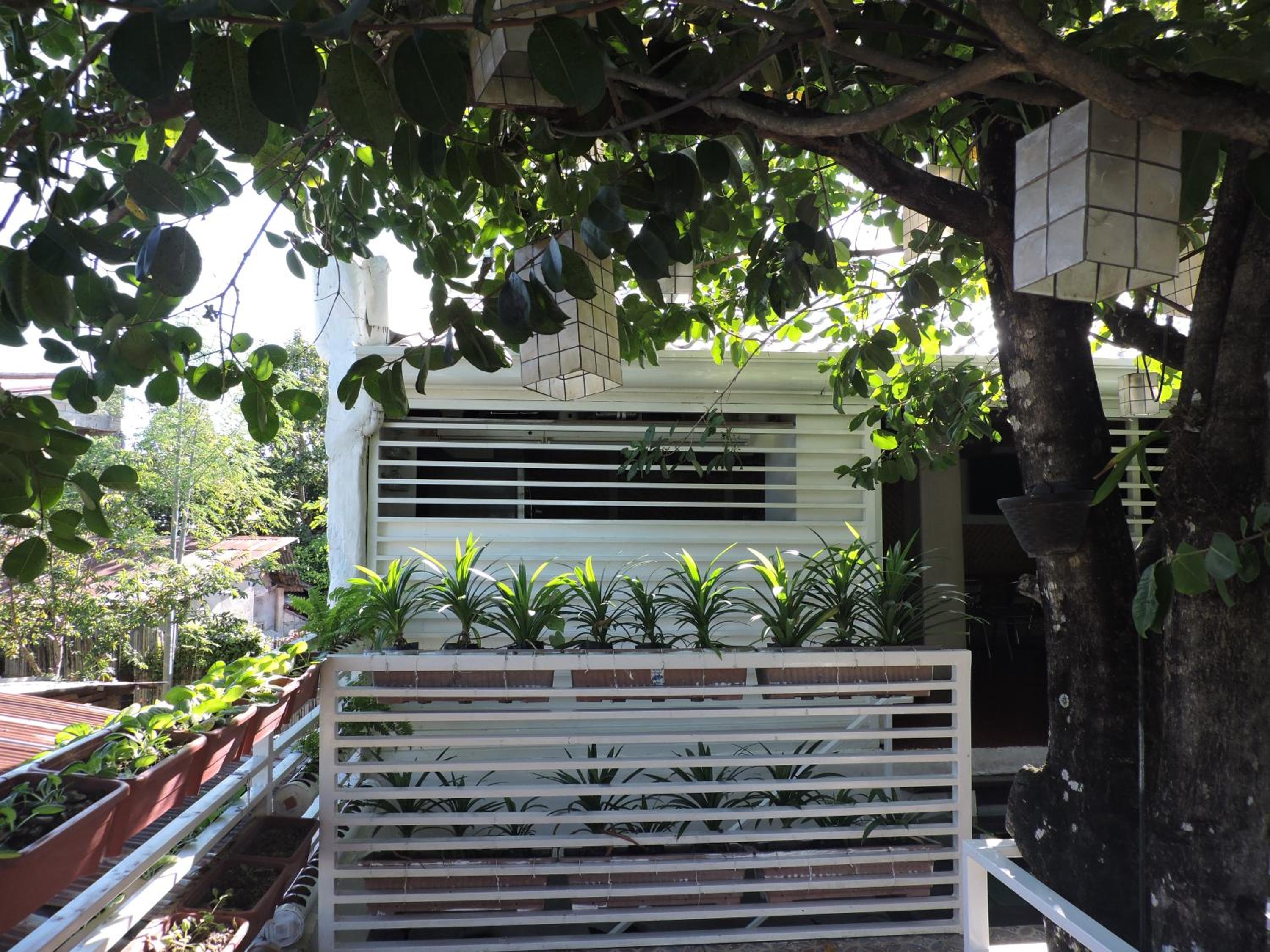 Orange Mangrove Pension House by SMS Hospitality