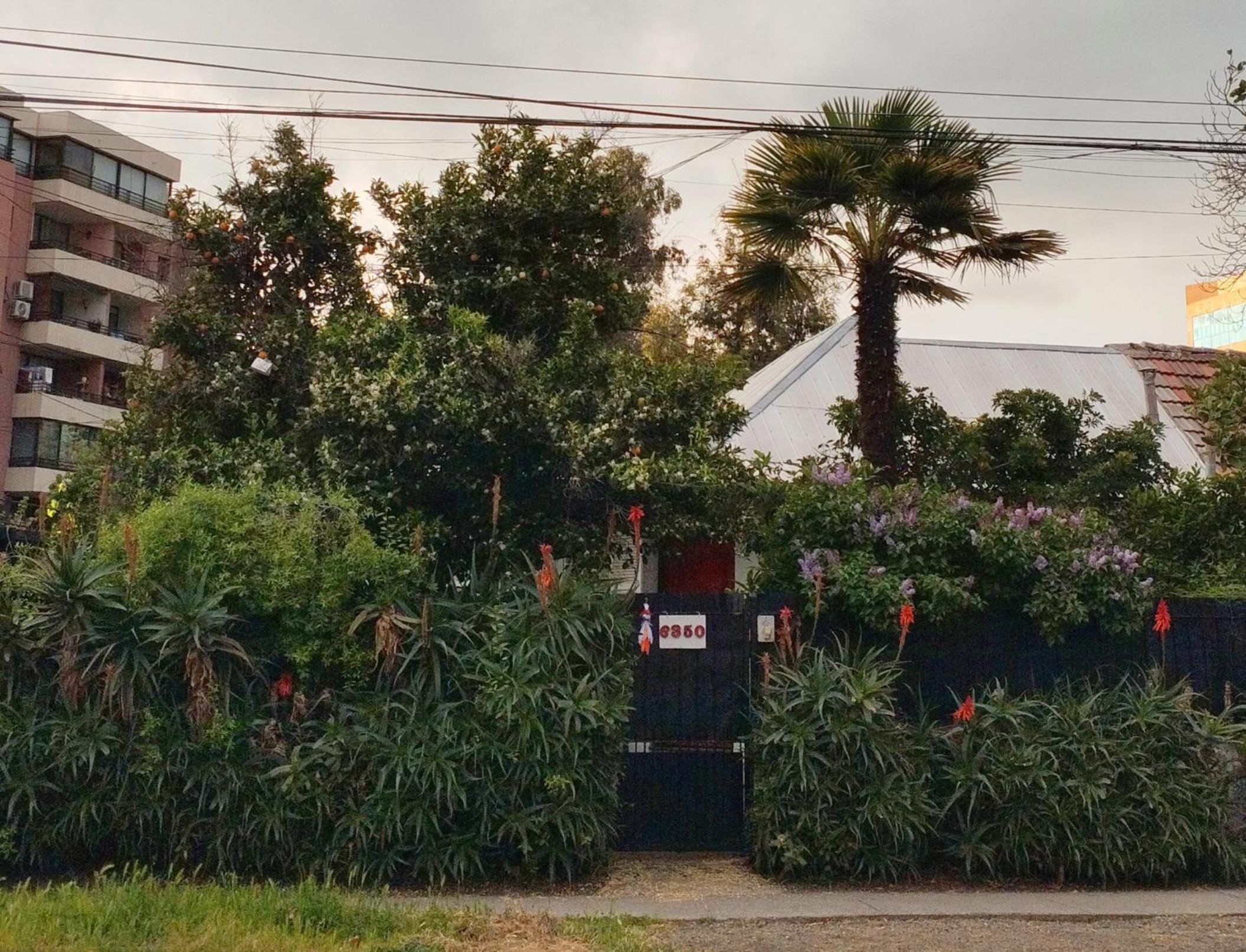 APUMANQUE HOUSE
