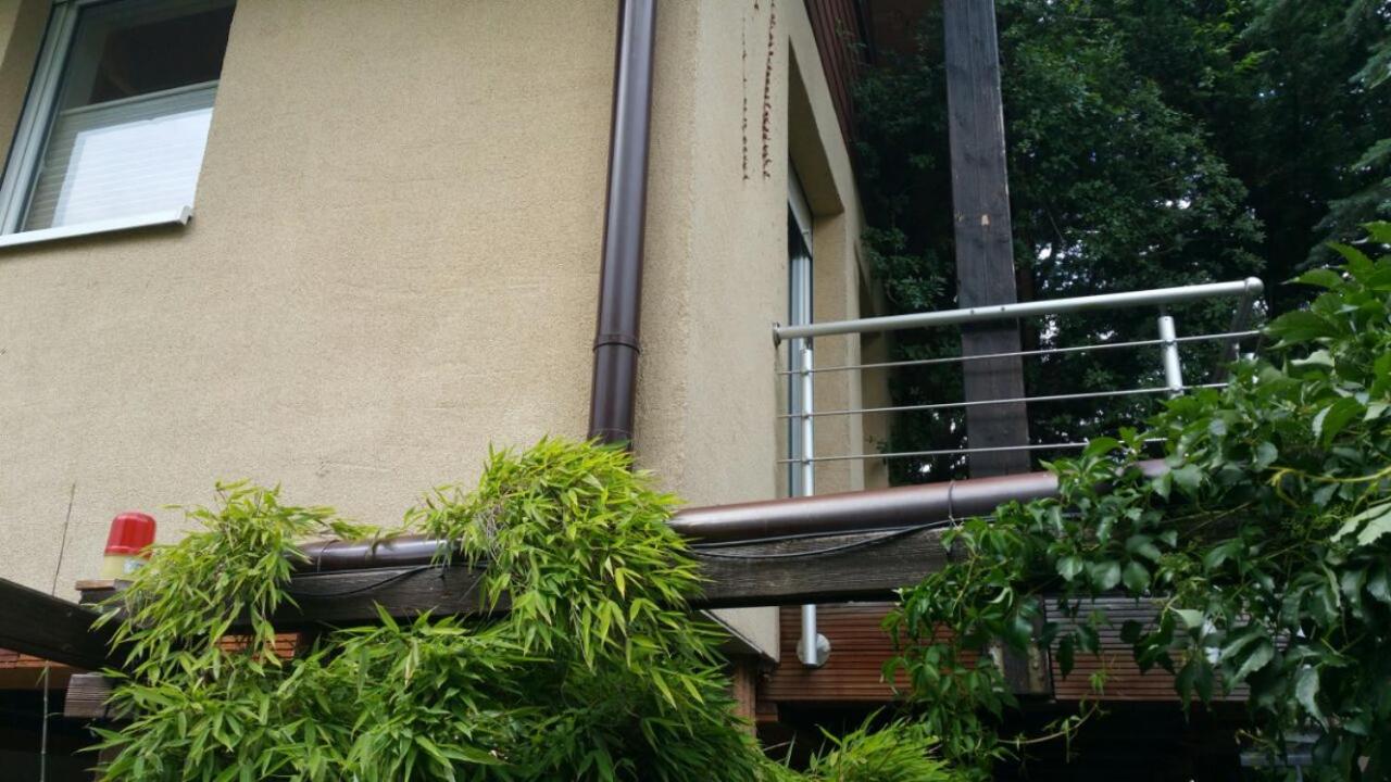 Gäste-Appartement Friedlander