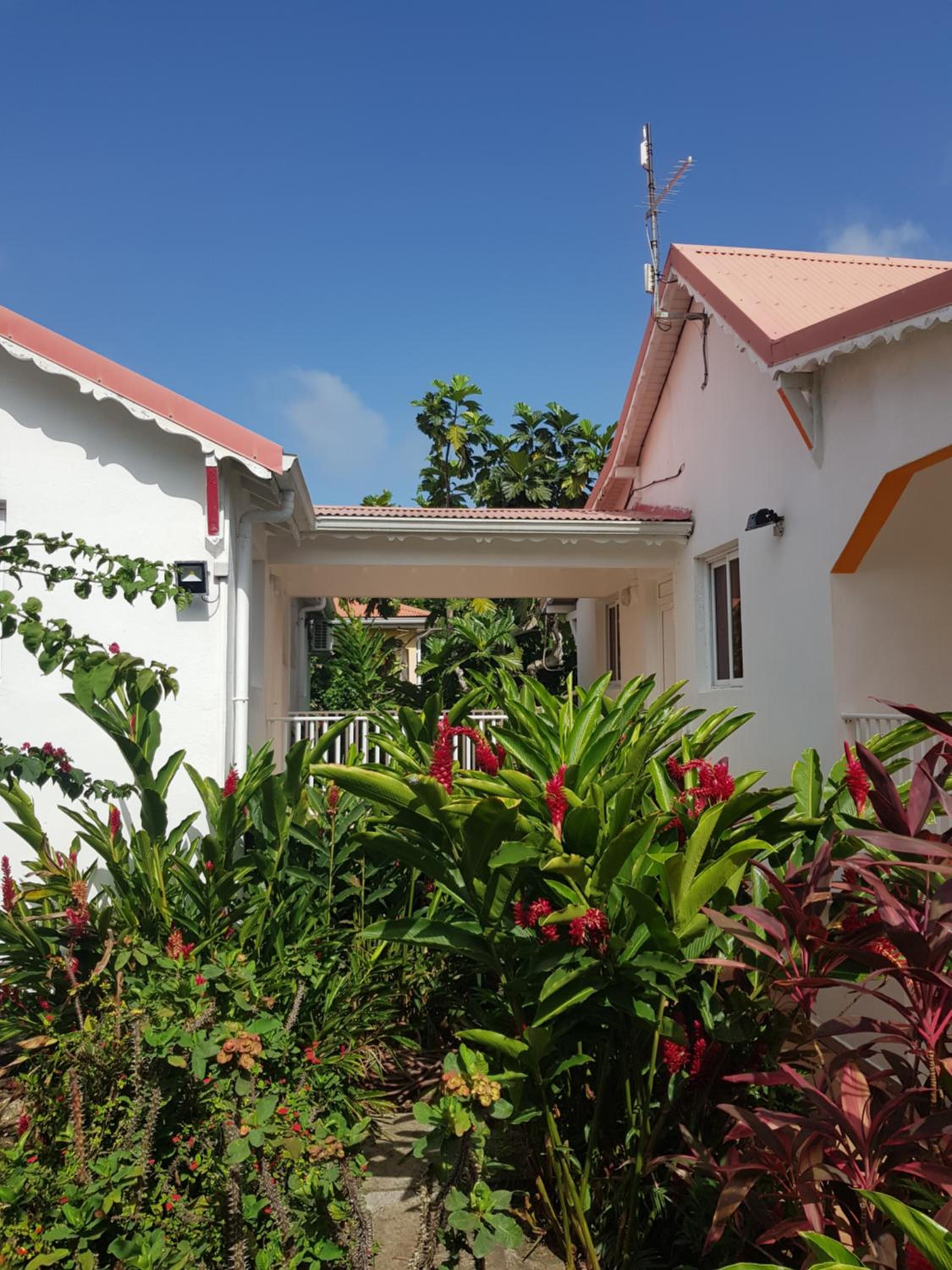 Ô PARADIS TERRESTRE Gîte passion view 3