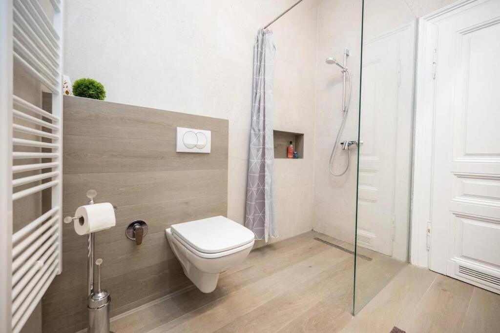 Luxury 2BDR Apartment in Budapest view 3