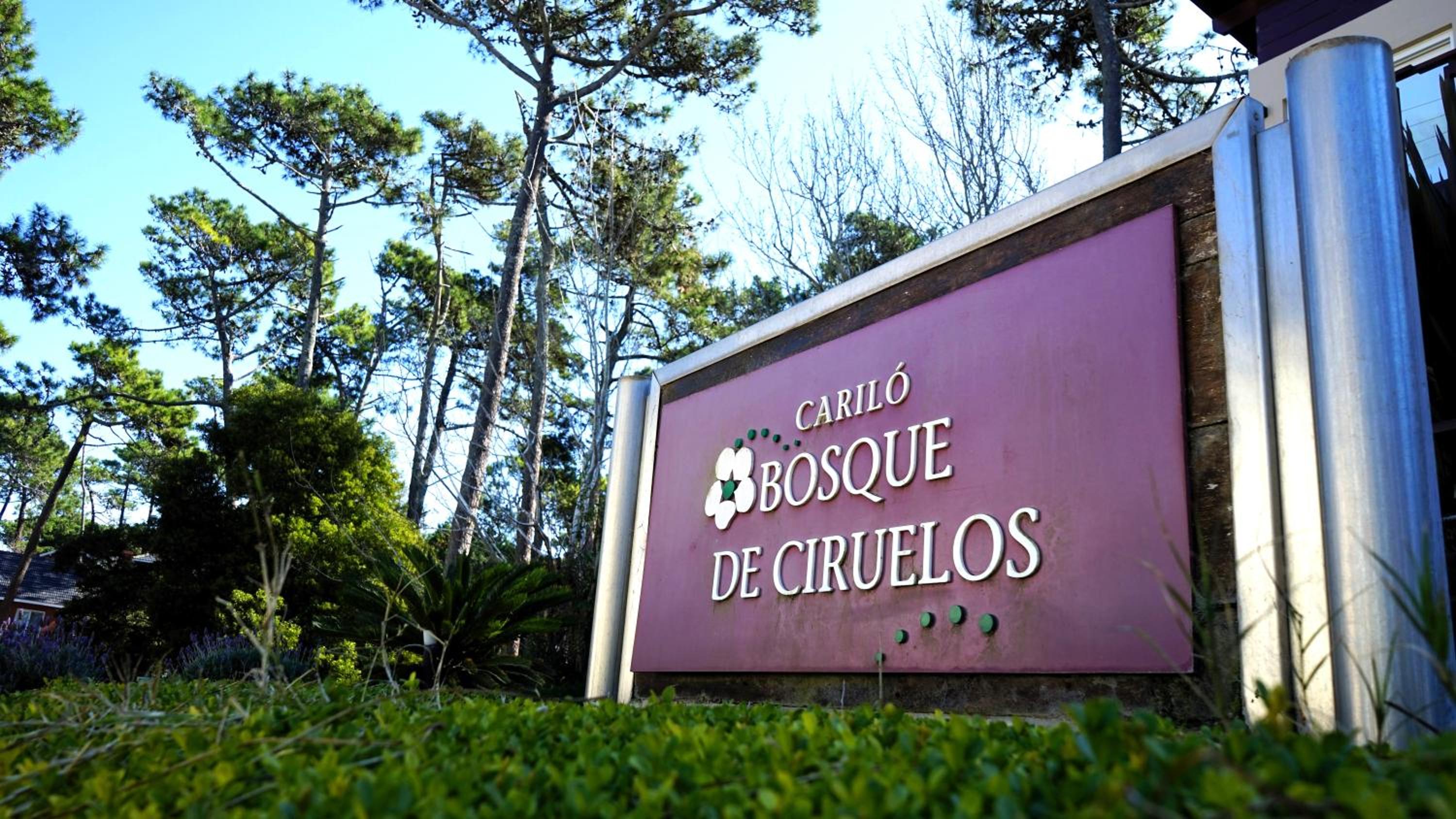 Bosque de Ciruelos