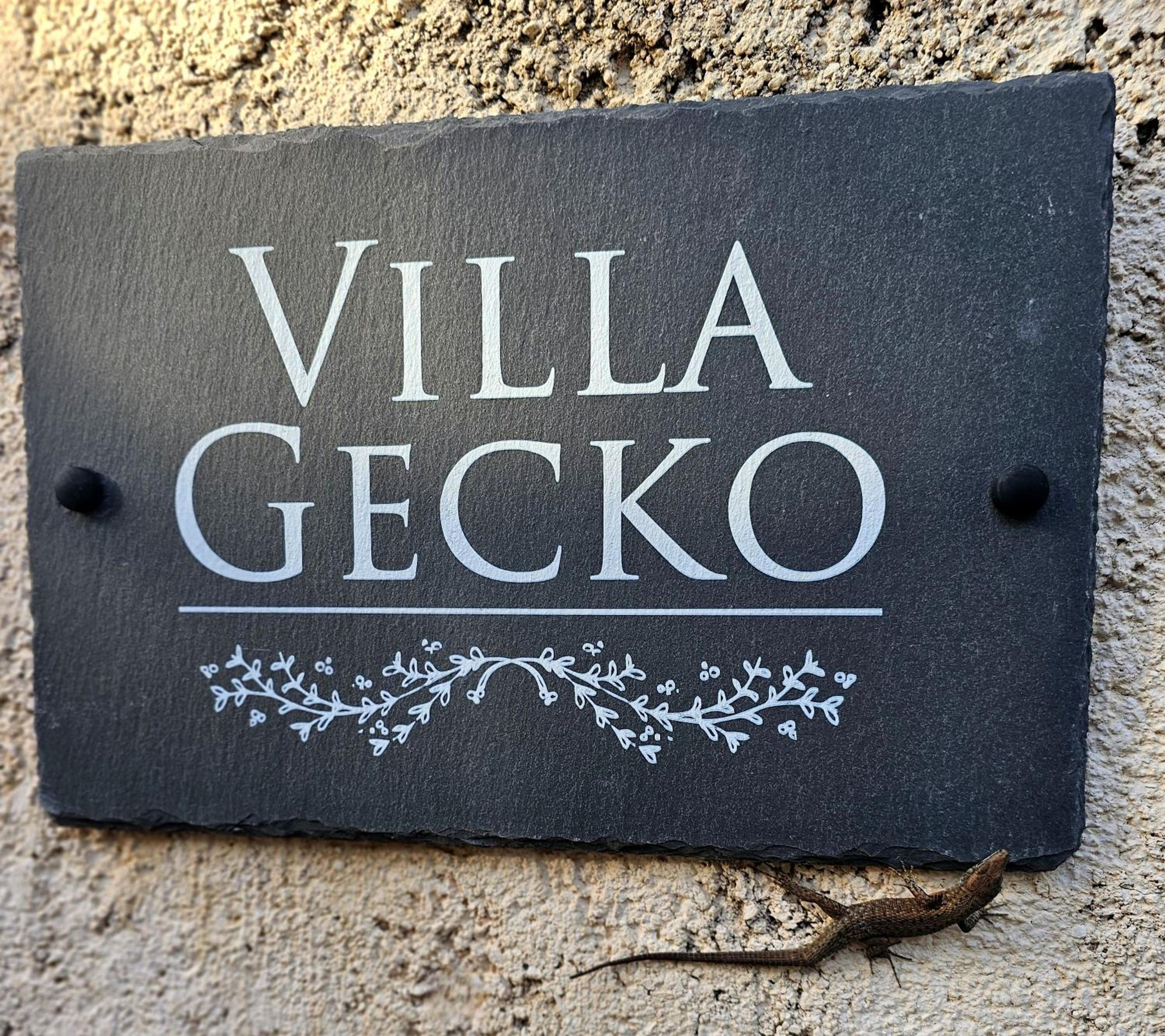 Villa Gecko, Arillas view 2