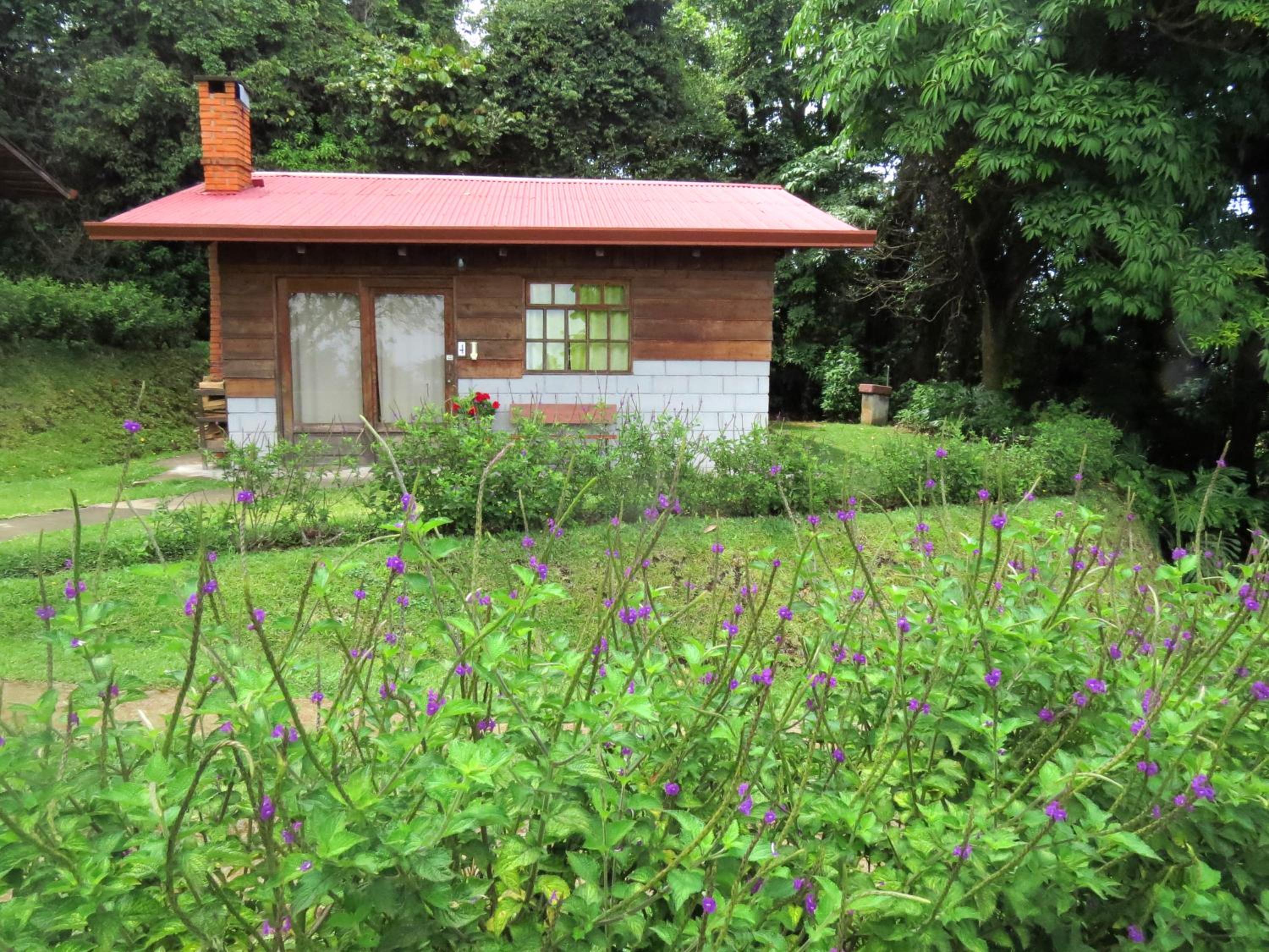 Photo 40