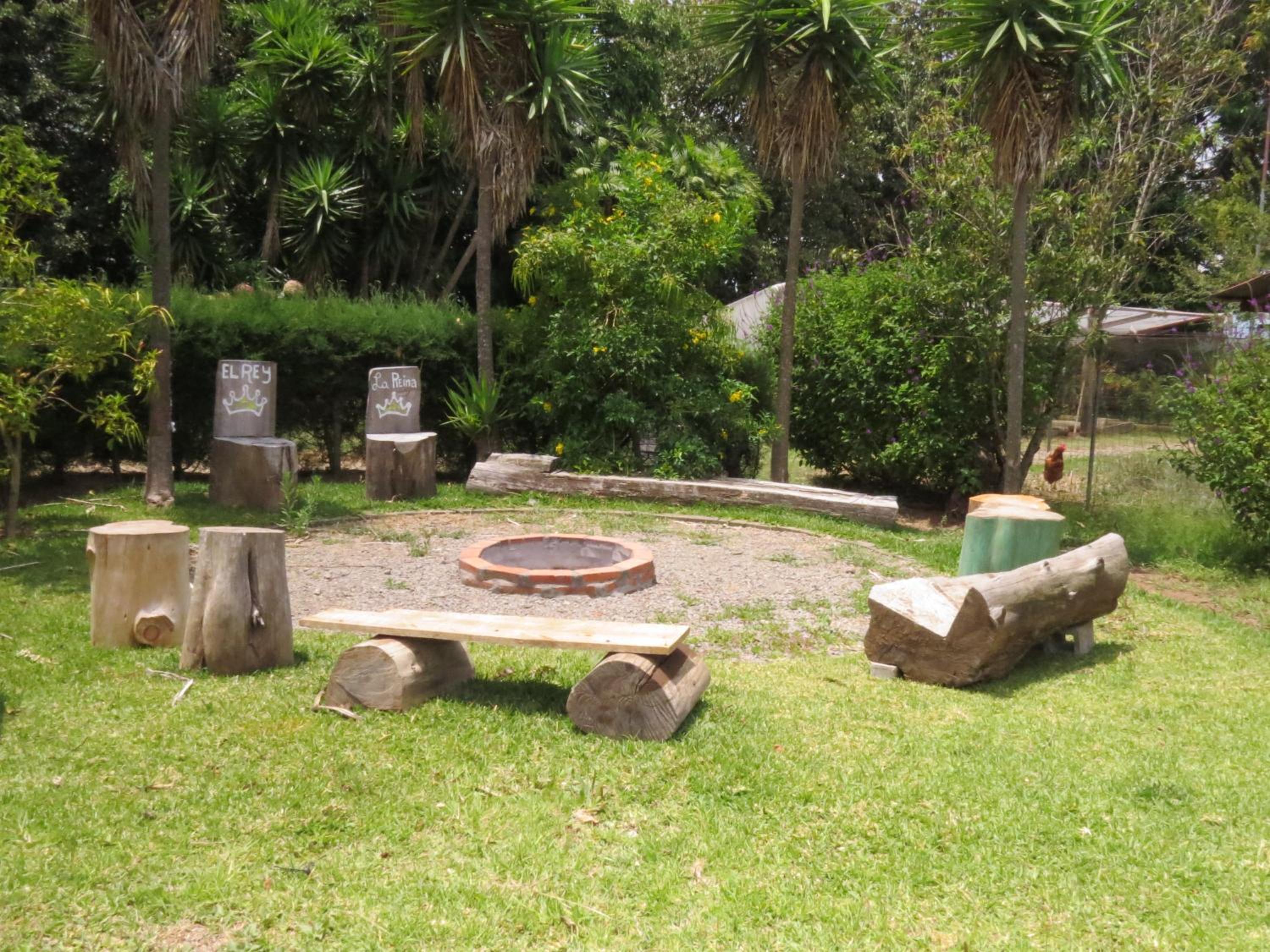 Photo 43