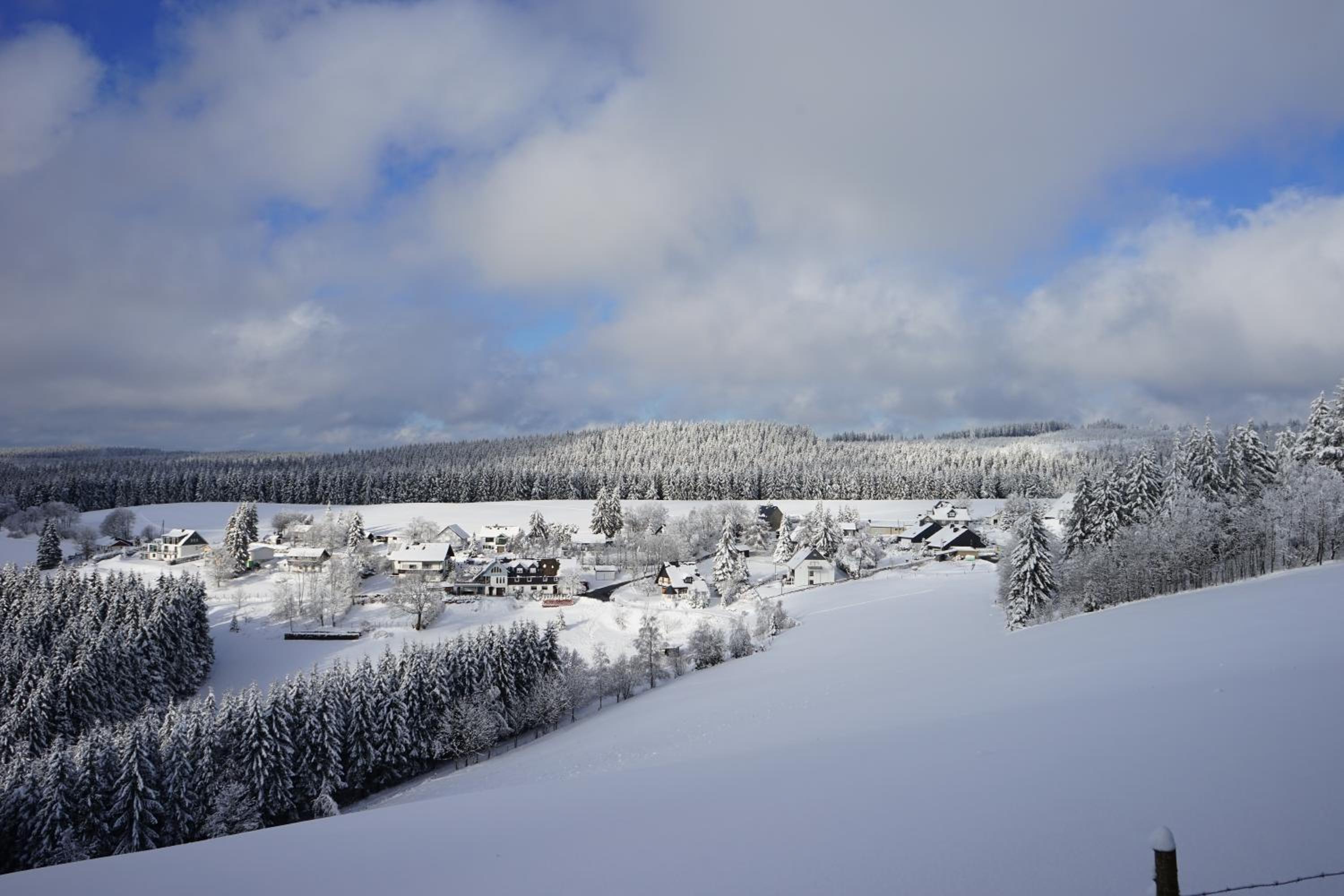 Ferienwohnung Astenpanorama