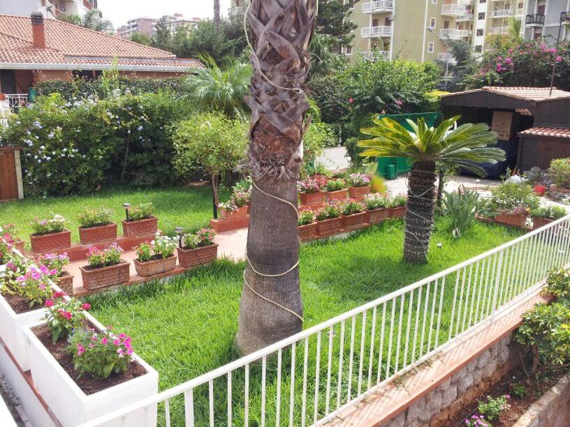 Oasis Green Villa view 4
