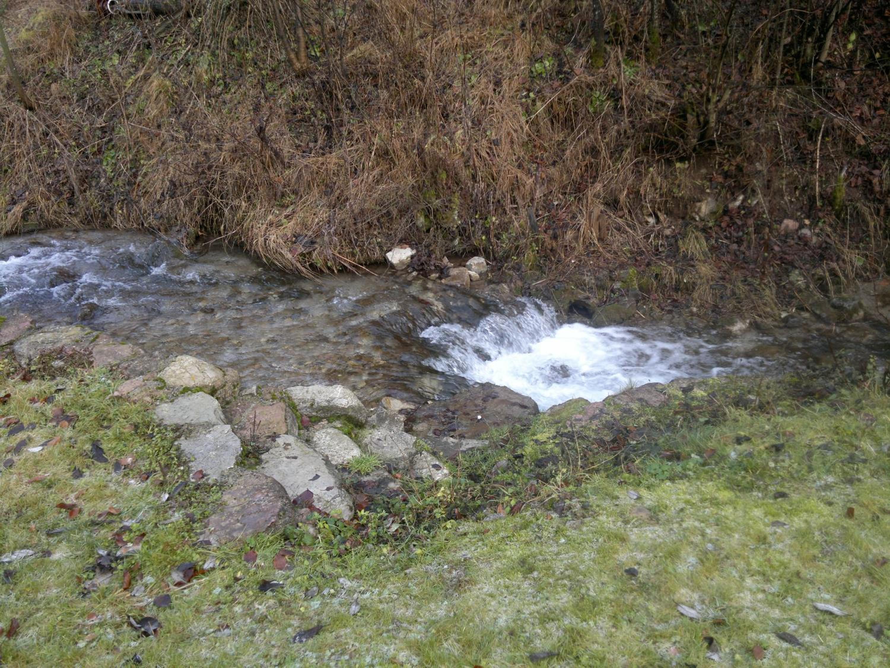Photo 28