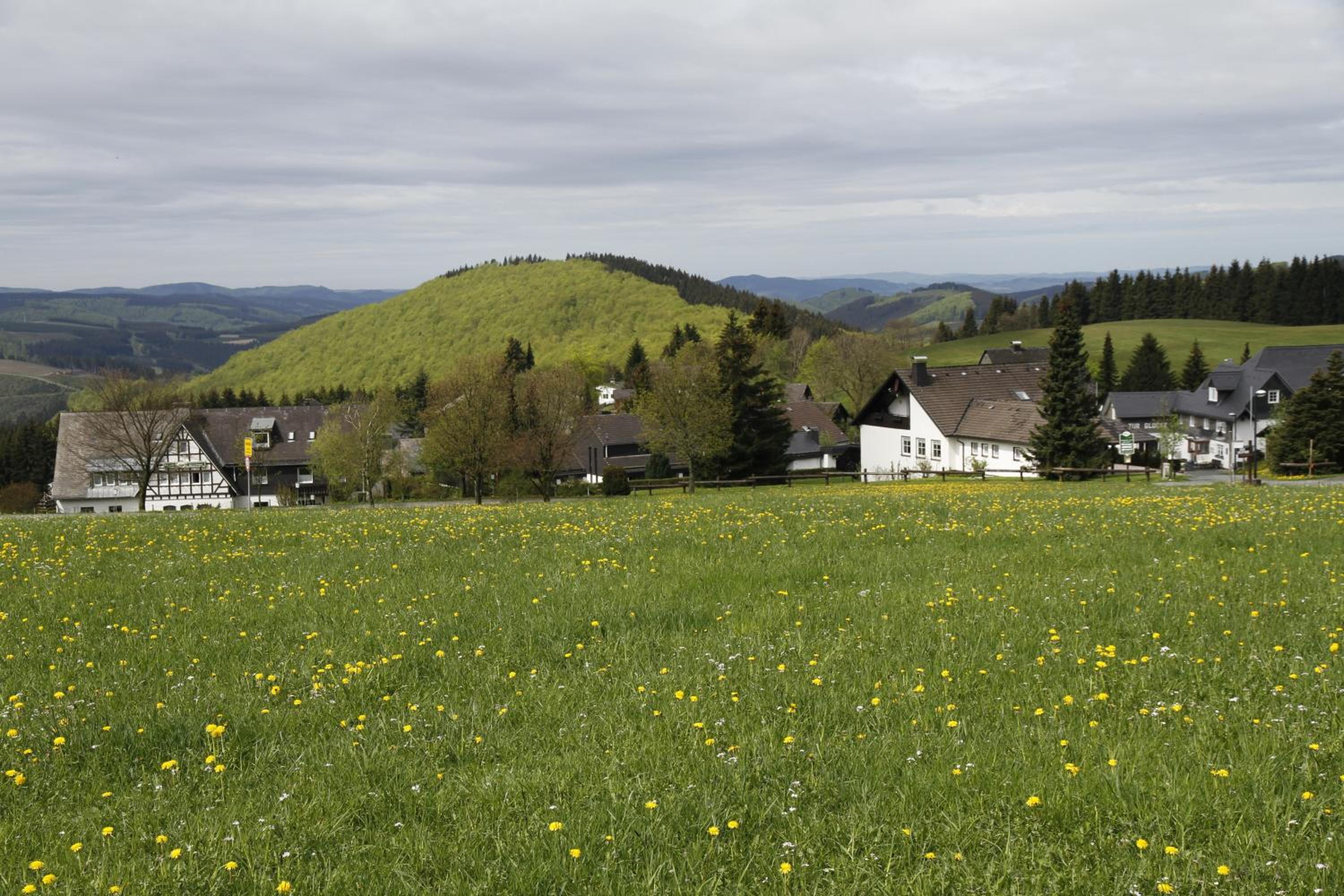 Ferienwohnung Astenpanorama