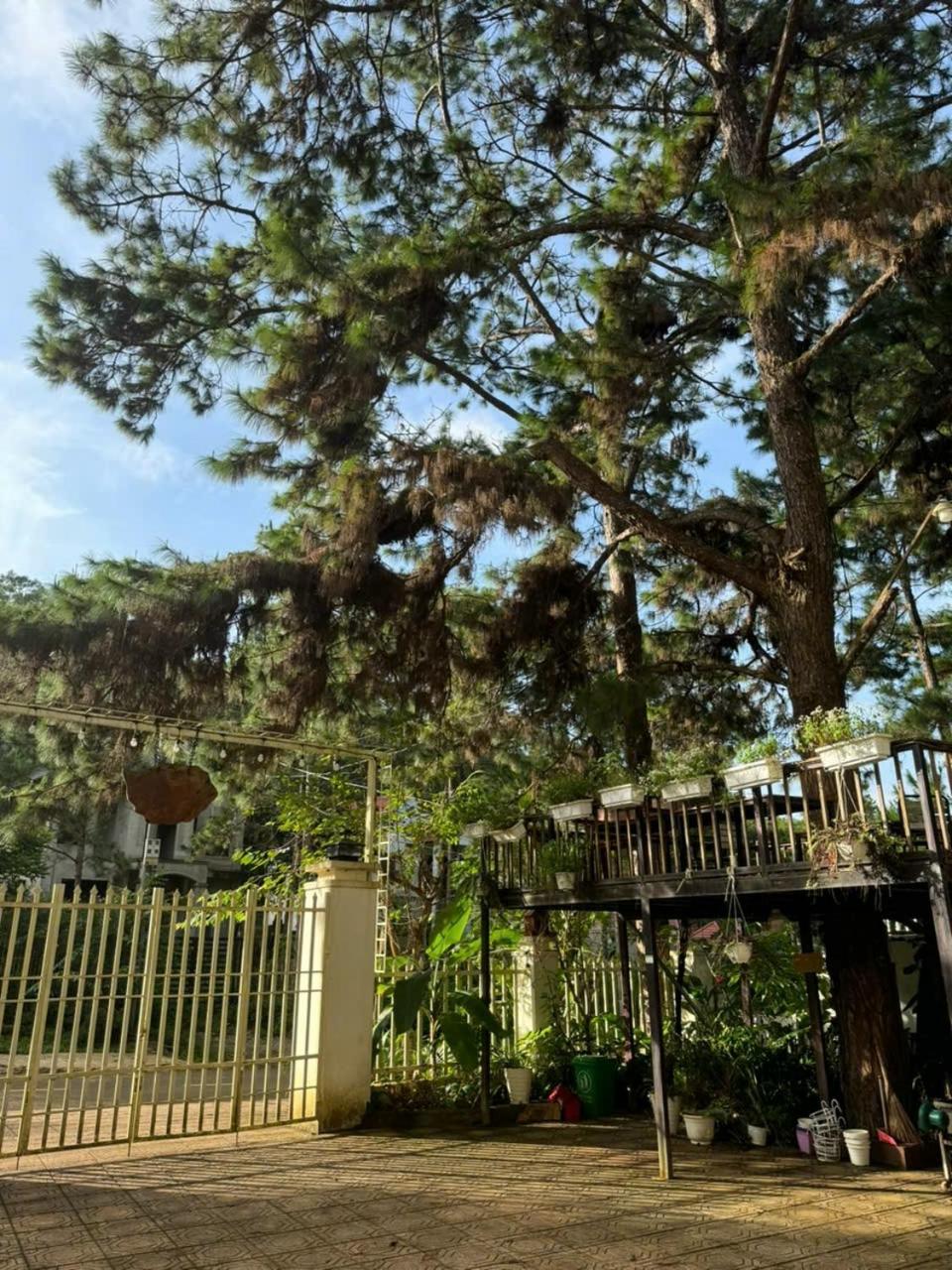 Chủ Nhật Homestay Măng Đen