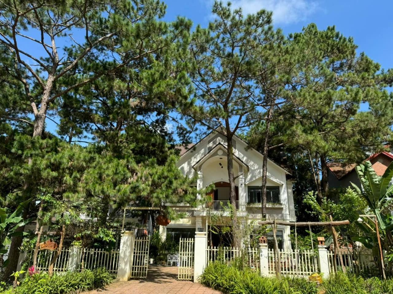 Chủ Nhật Homestay Măng Đen