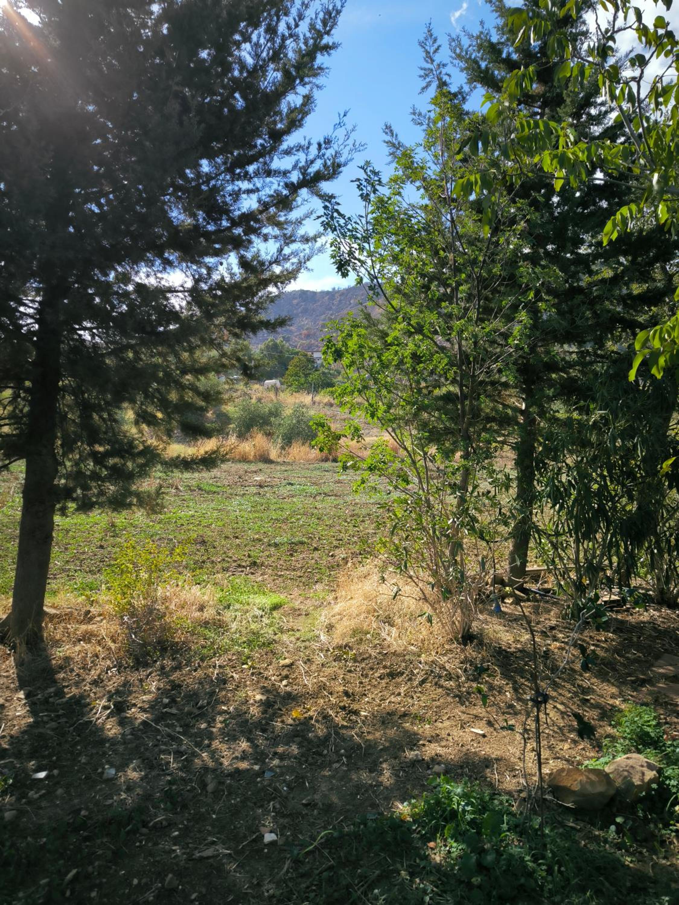 Country Dreams
