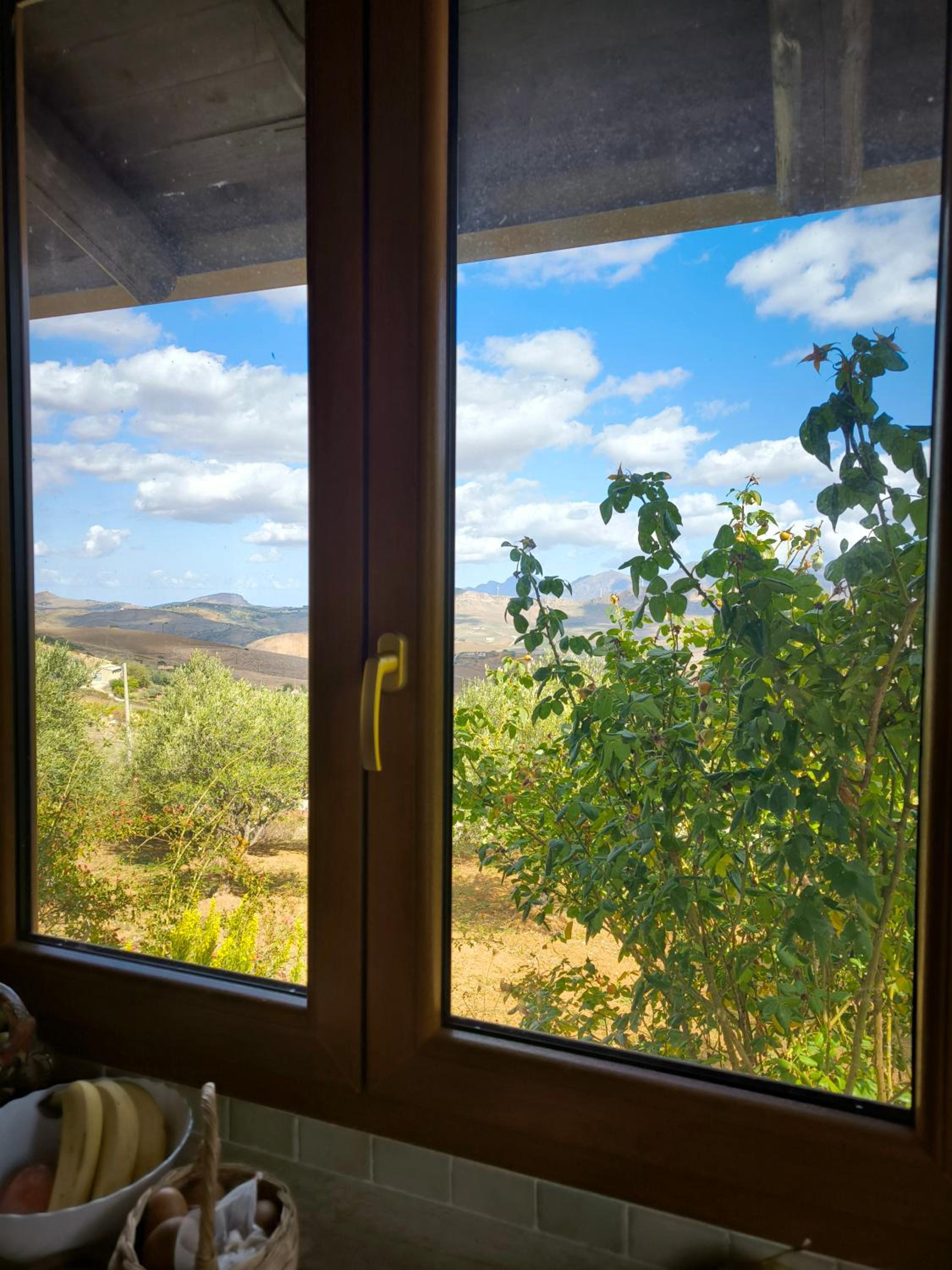 Country Dreams