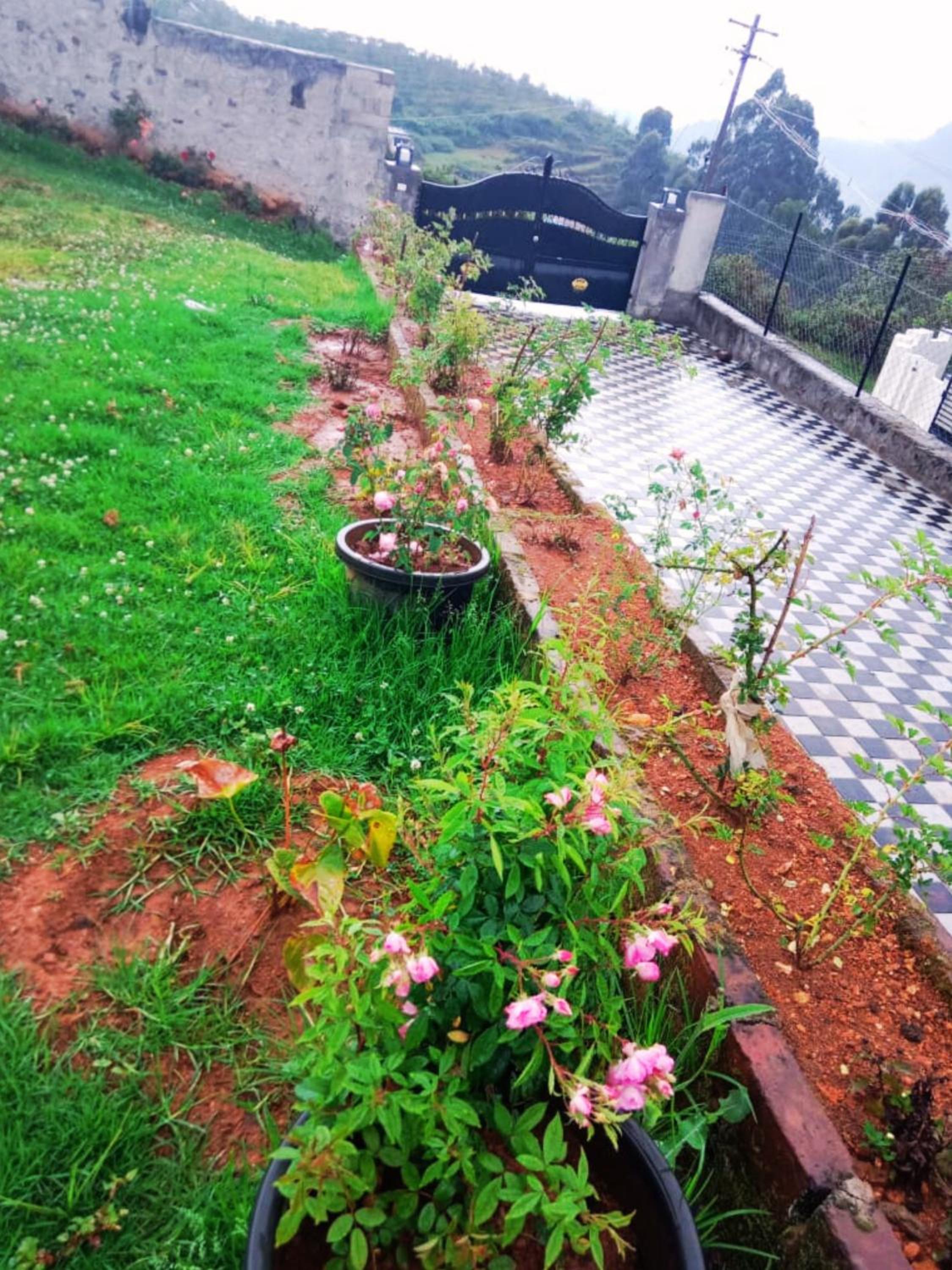 Photo 18