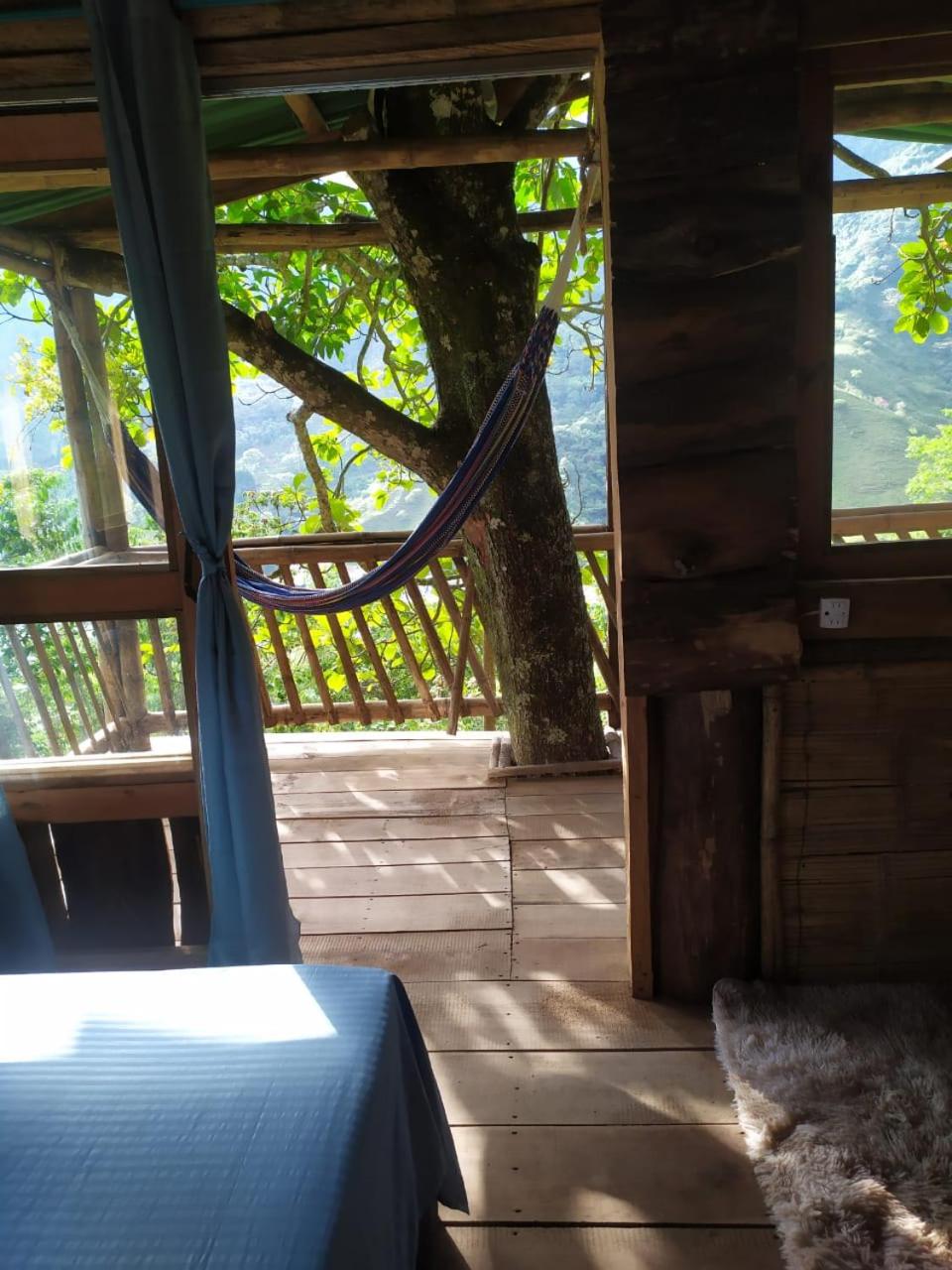 Casa Del Árbol Con Hermosa Vista Pijao Quindío