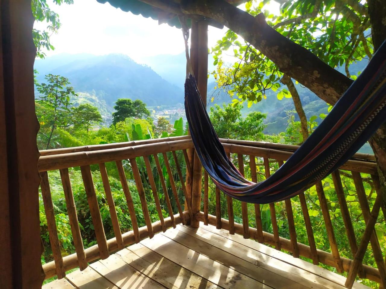 Casa Del Árbol Con Hermosa Vista Pijao Quindío