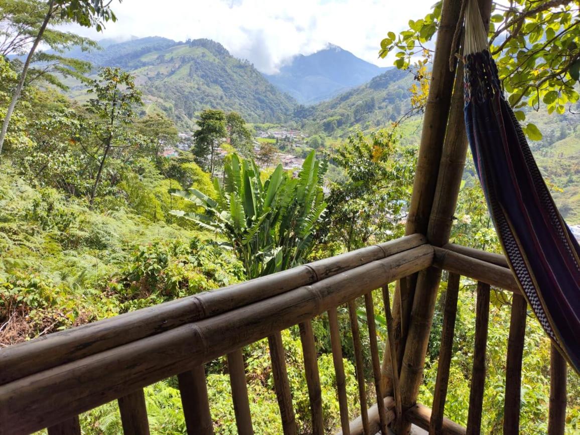 Casa Del Árbol Con Hermosa Vista Pijao Quindío