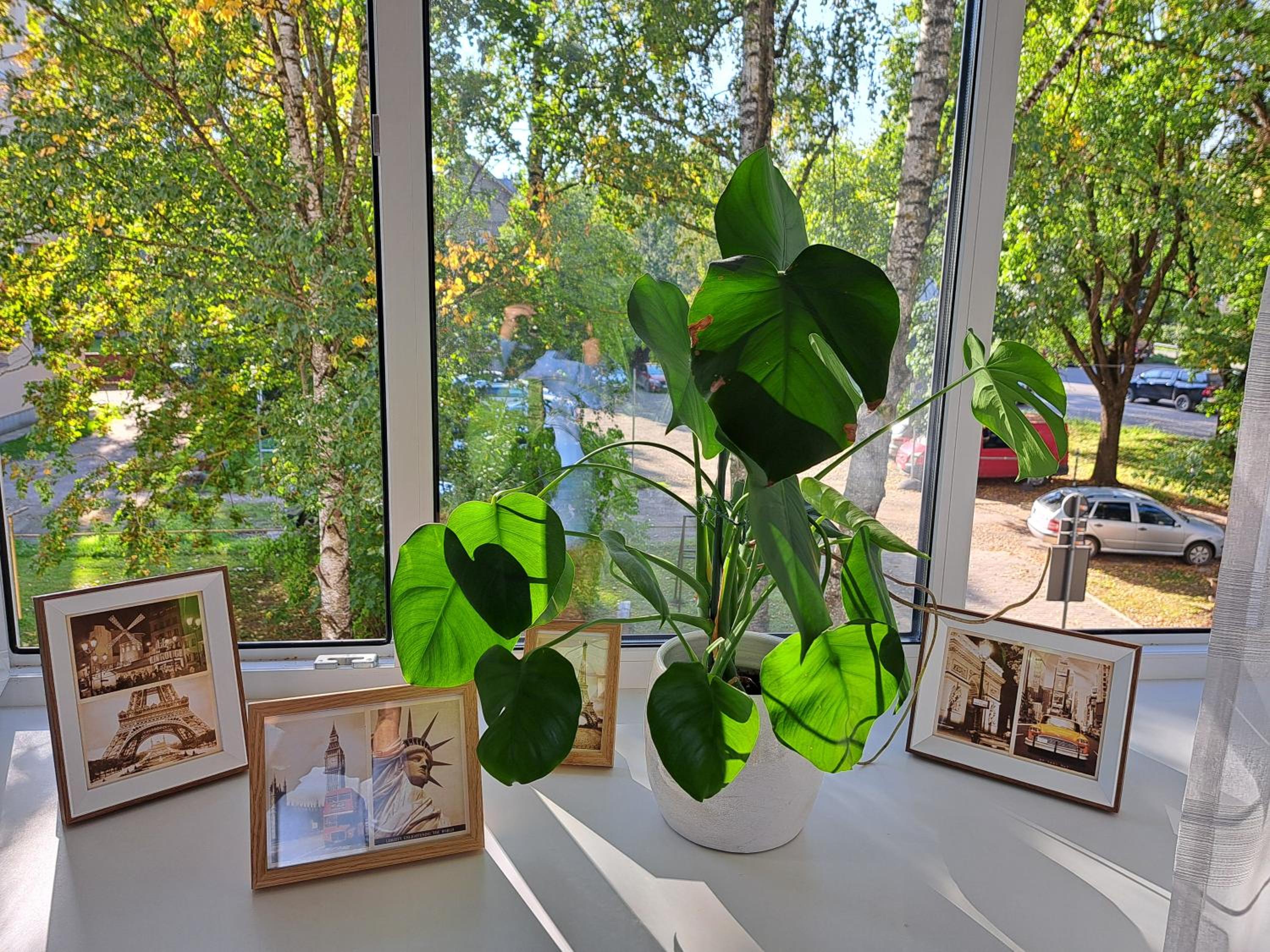 Turu 15 Apartment view 2